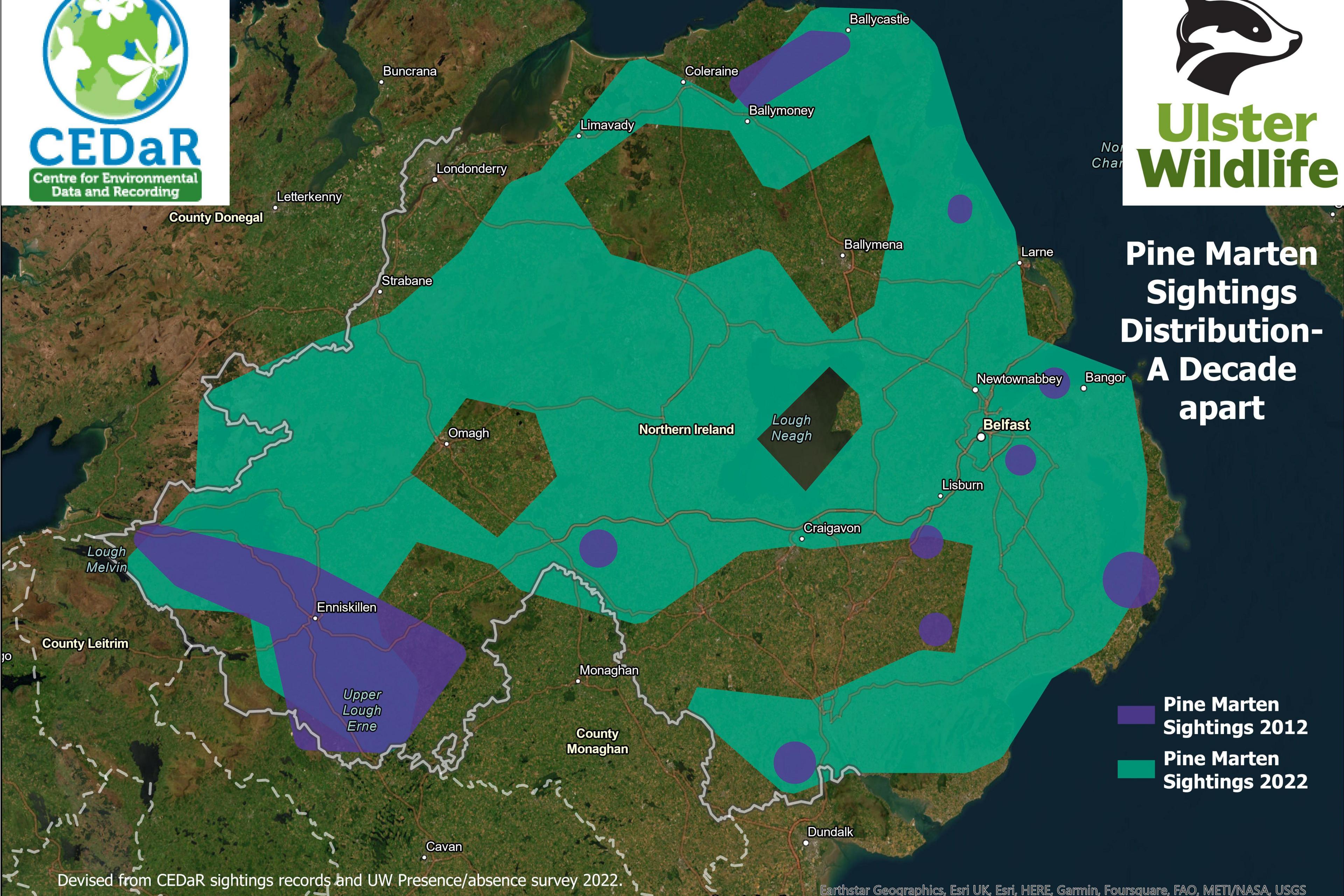 The map shows the difference in the distribution of pine martens in Northern Ireland between 2012 and 2022. Isolated purple areas represent 2012 and the much denser green areas represent 2022