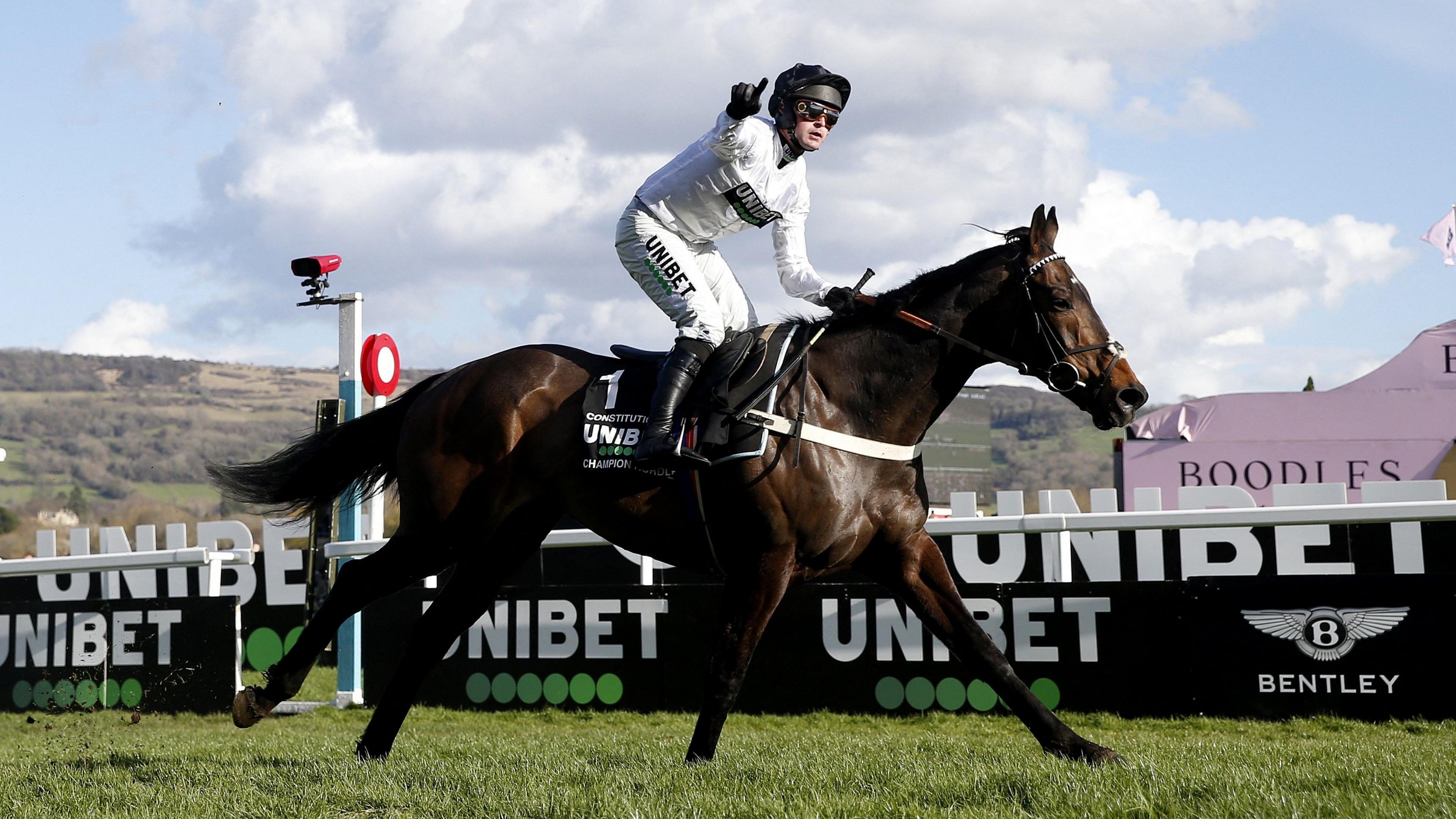 Constitution Hill won the Champion Hurdle in 2023