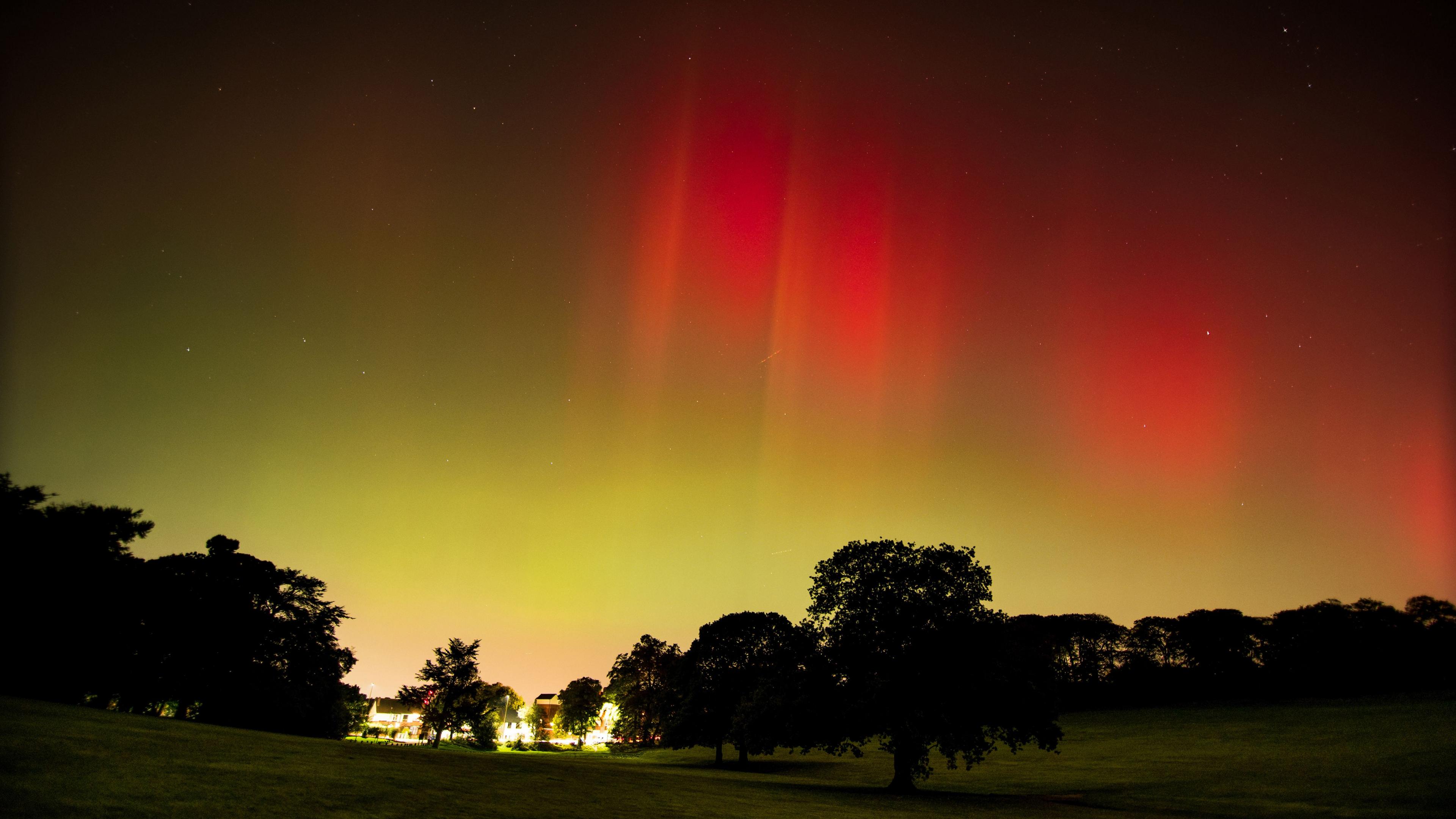 Red and yellow northern lights illuminate the sky over a park with oak trees 