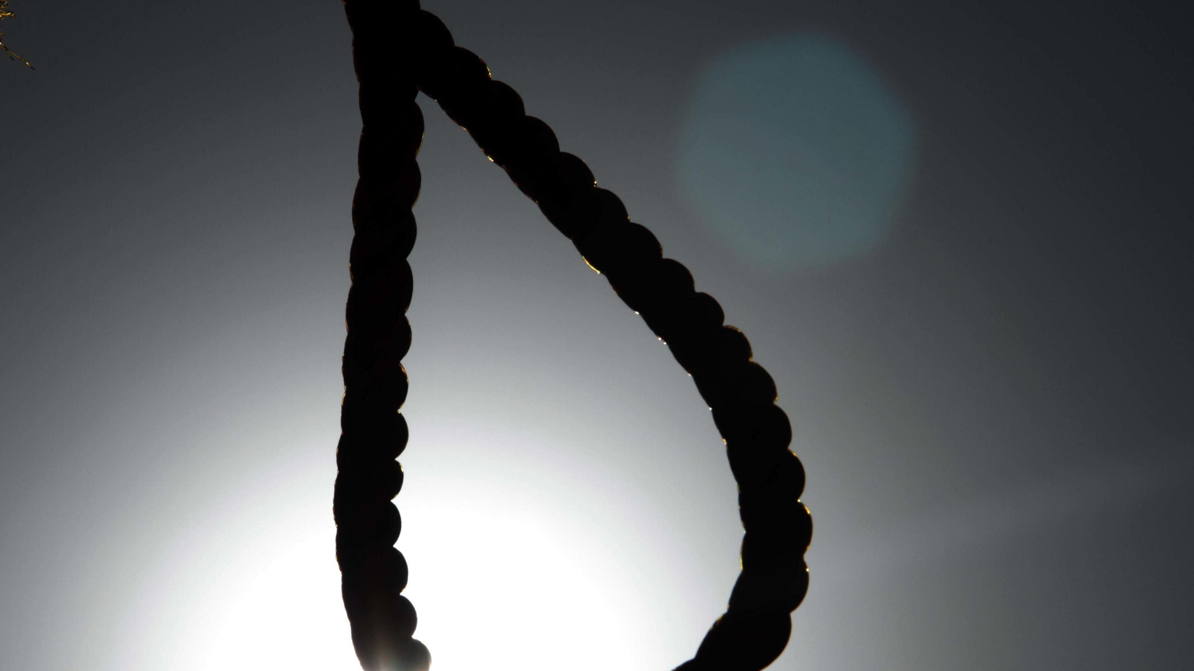 A hangman's noose