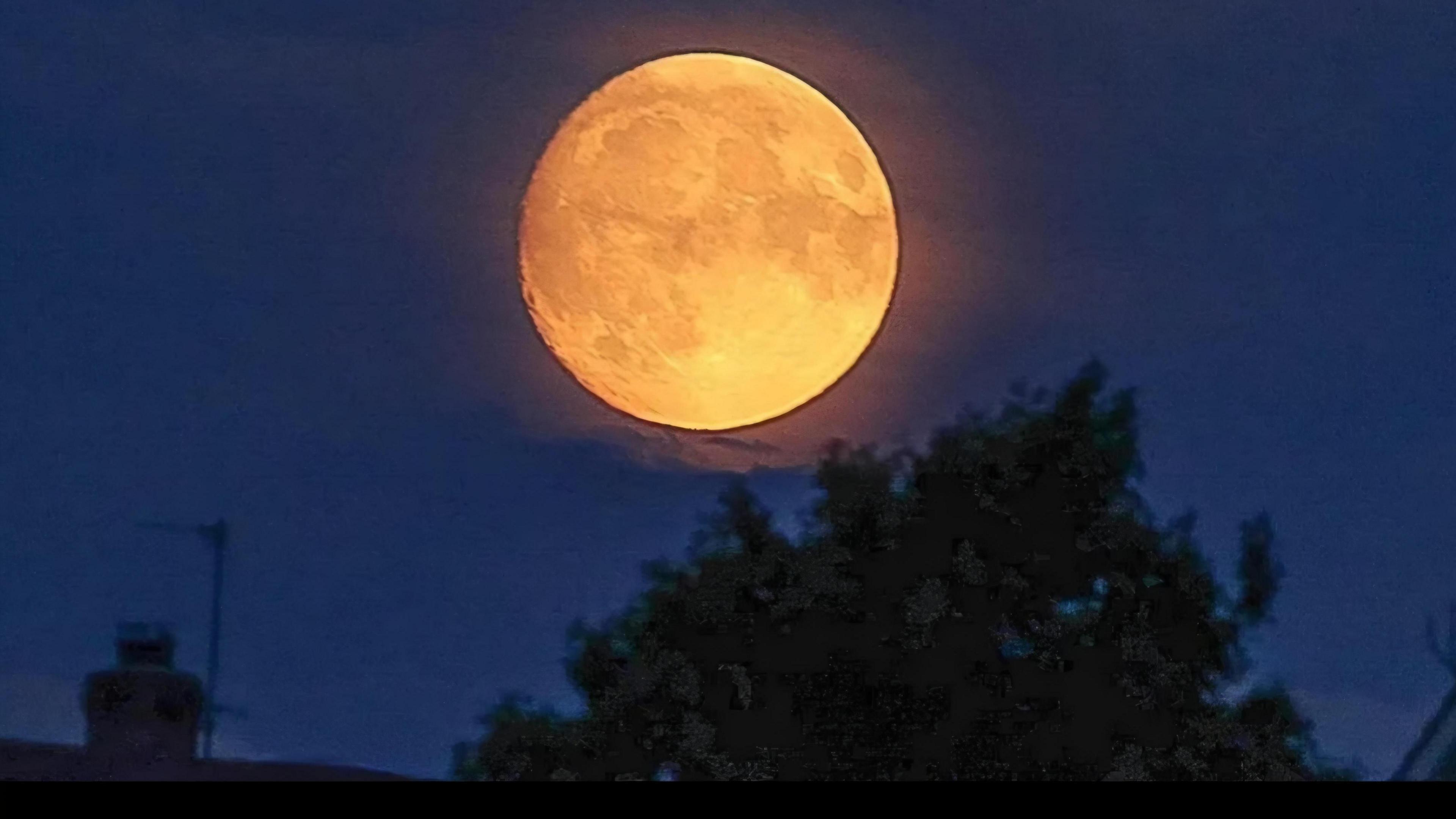 The Buck Moon glowing orange in the night sky above a tree