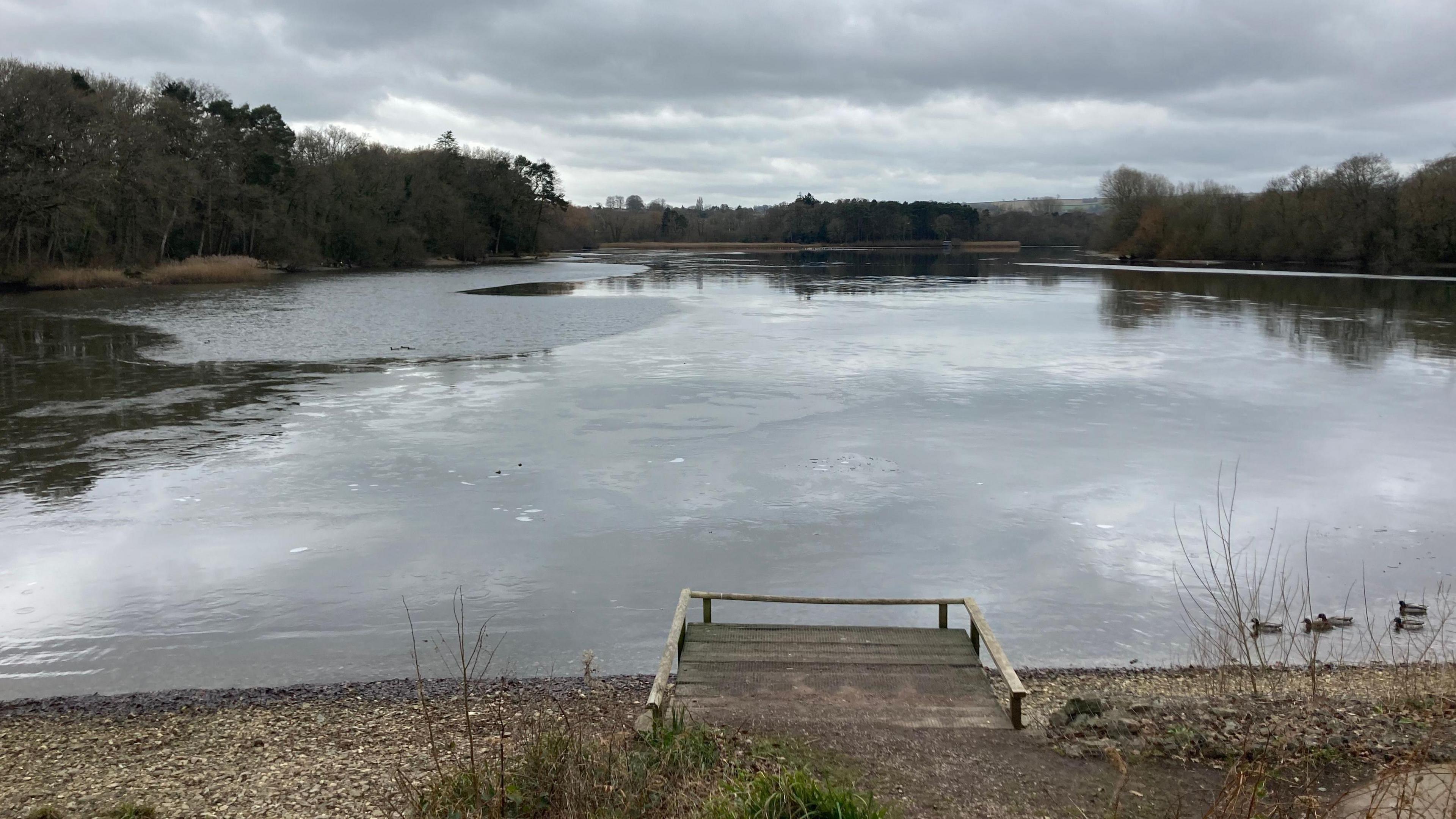 The reservoir at Chard. The water is surrounded by a number of trees. 