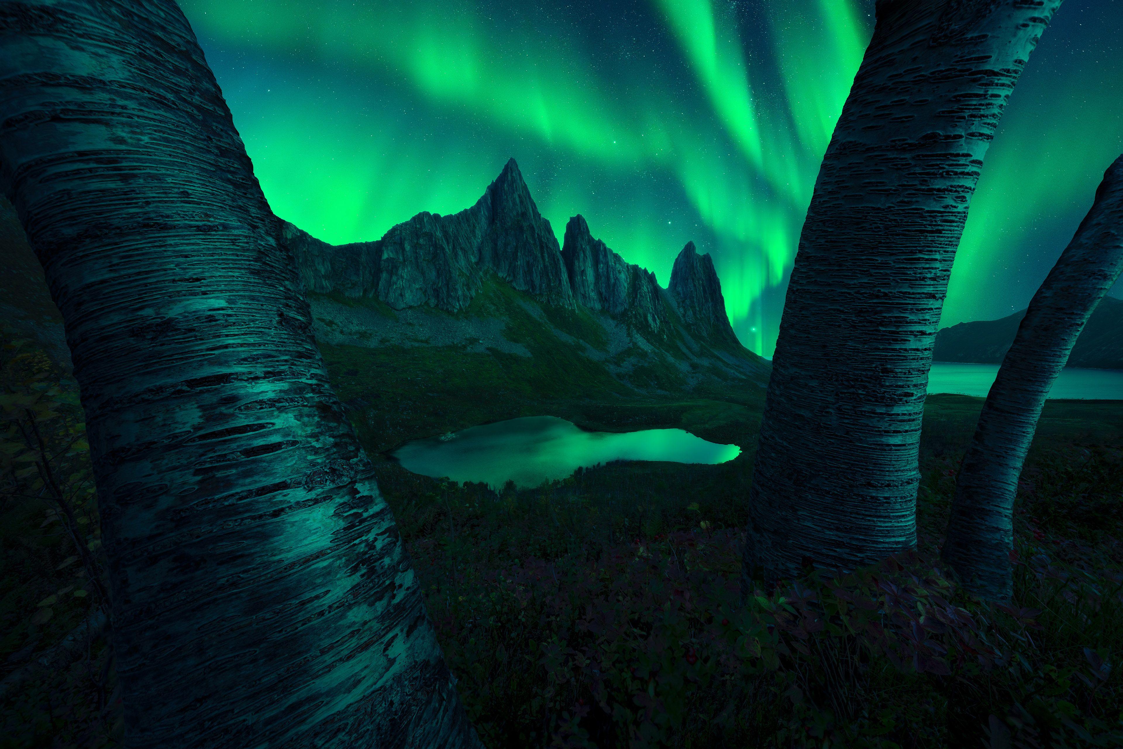 The aurora in the sky in Senja, Norway.