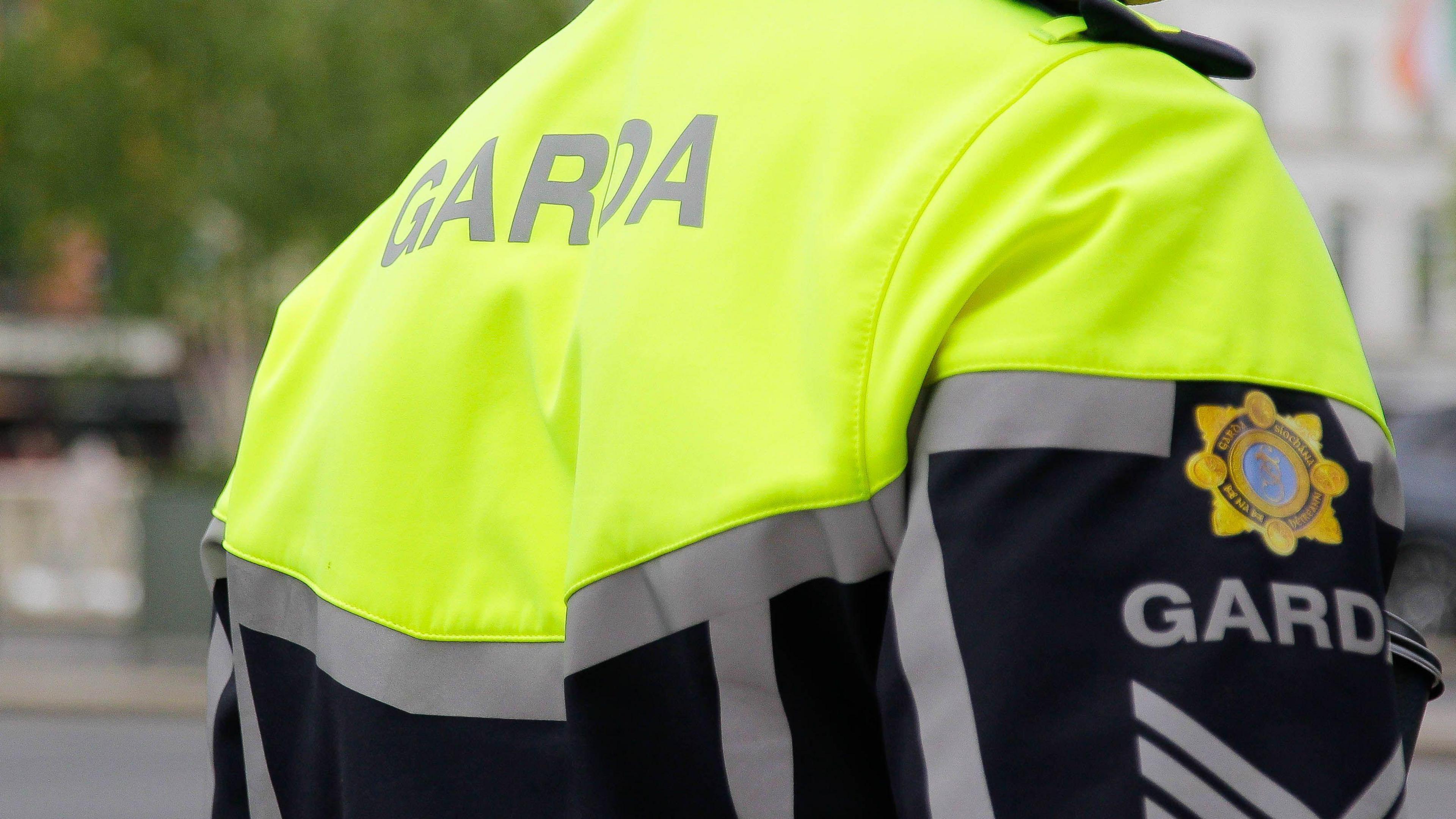 The back of a Garda, wearing a hi-vis Garda jacket