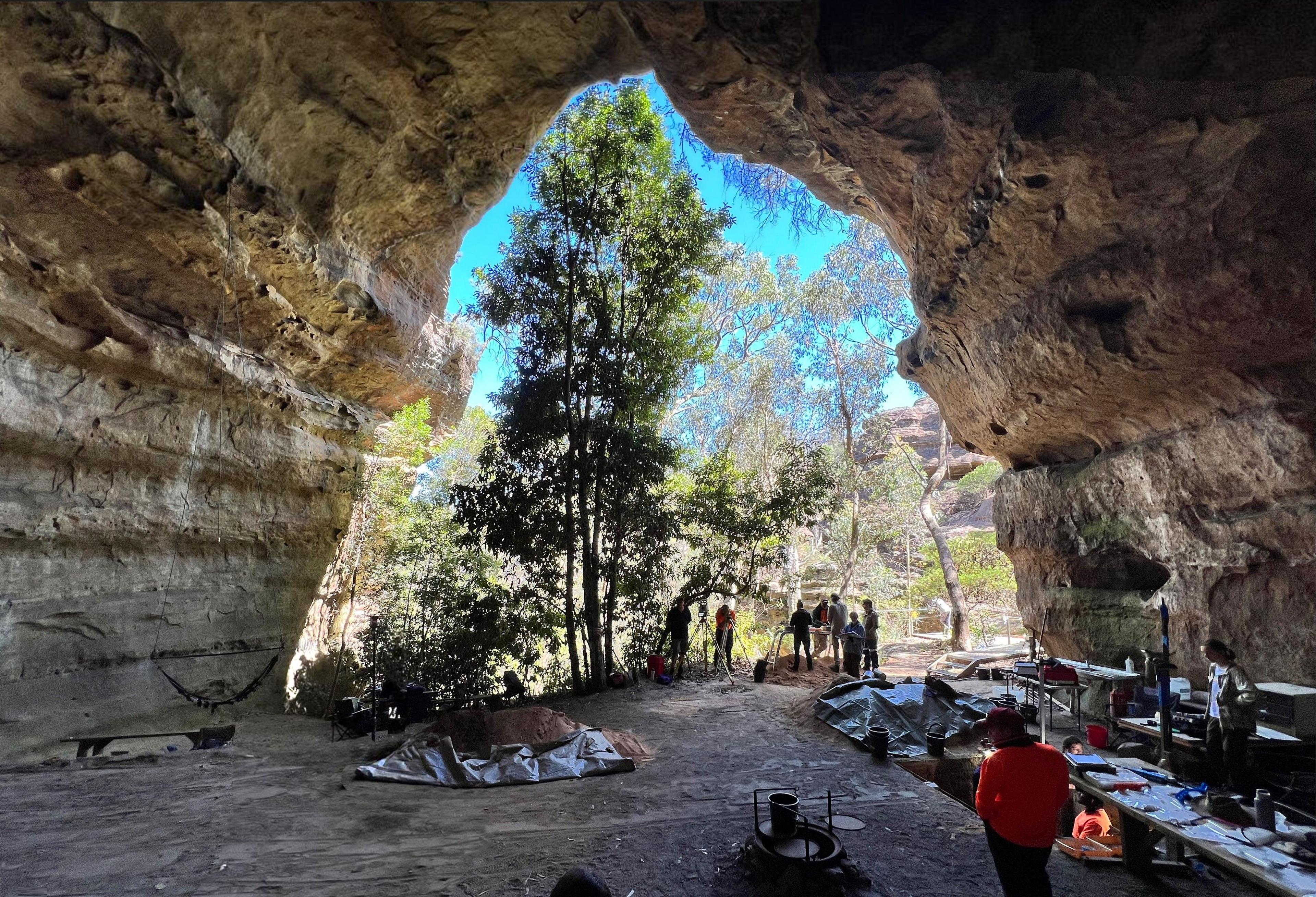 Dargan Shelter in the Blue Mountains
