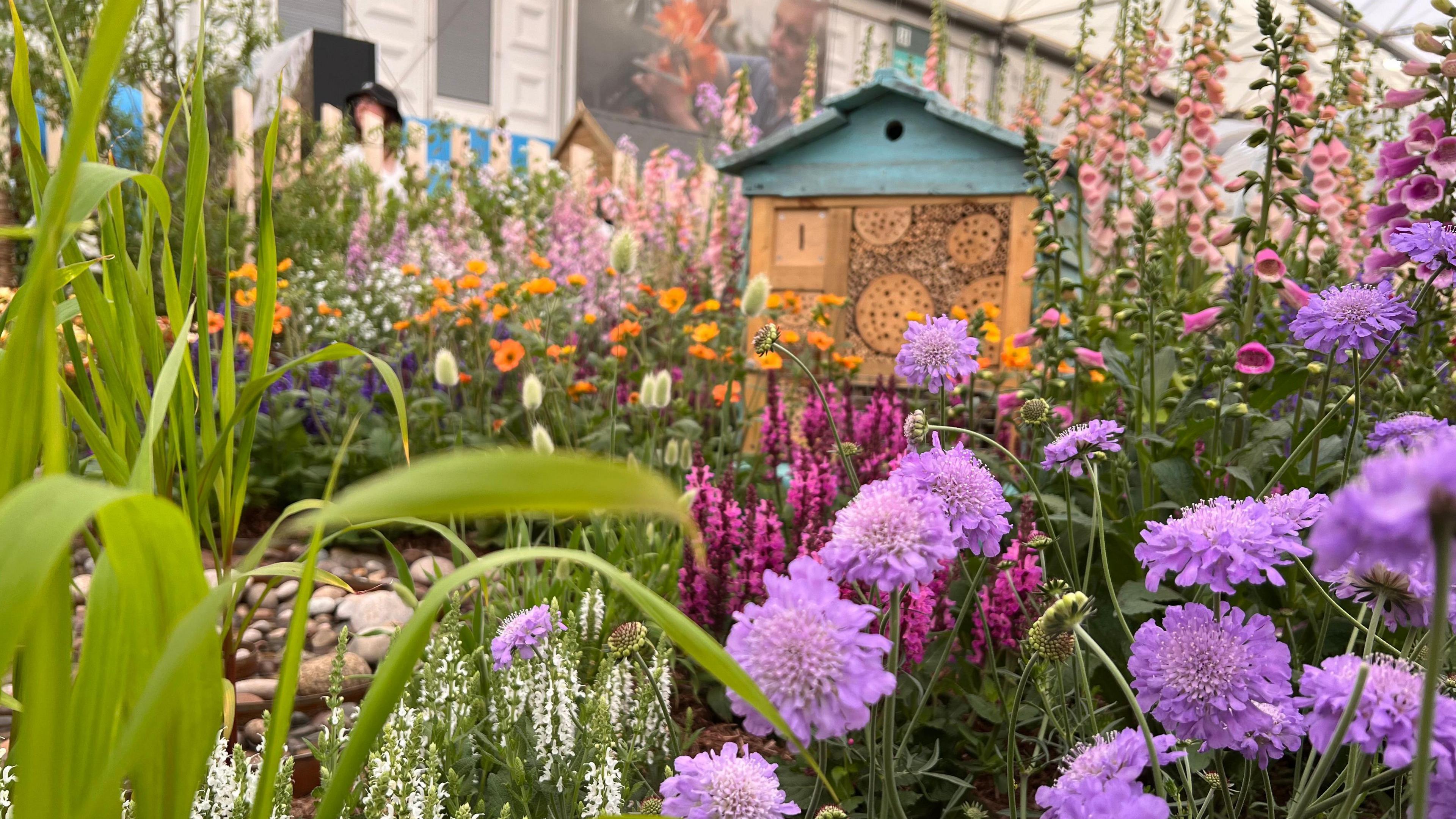 A close-up of leaves and various flowers, of pink, purple and orange. There appears to be a bee hive surrounded by the flowers.