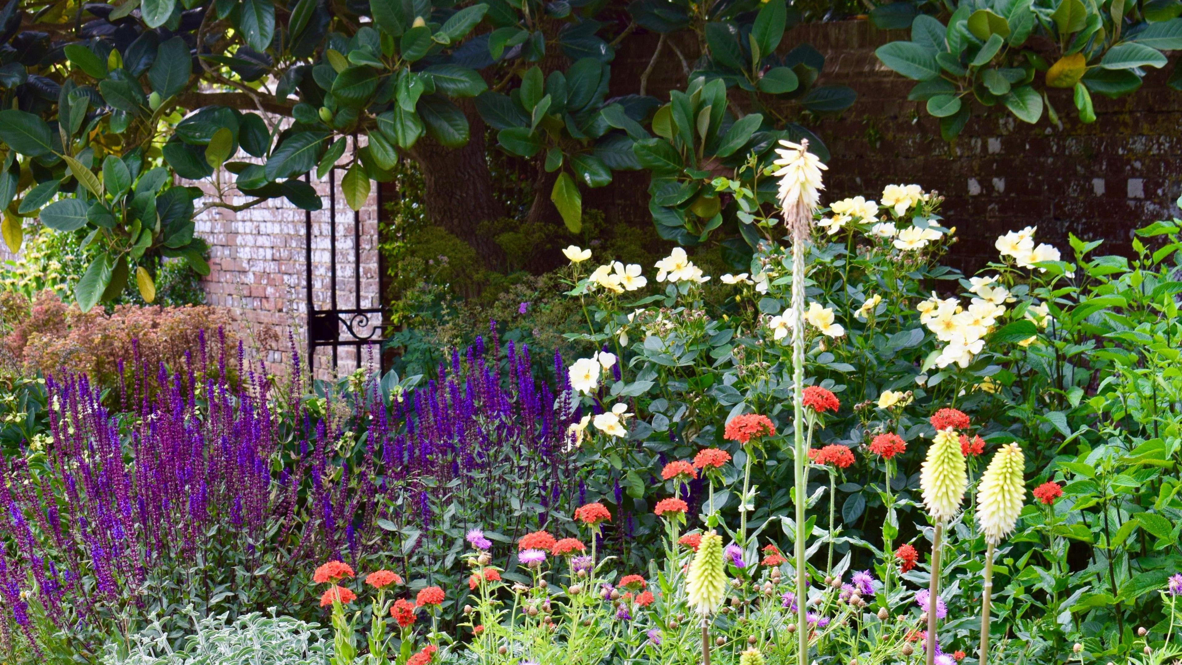 A flower bed at Hole Park, fully in bloom, with purple, orange and white flowers, in front of a high brick wall and a black wrought iron gate, which is open.