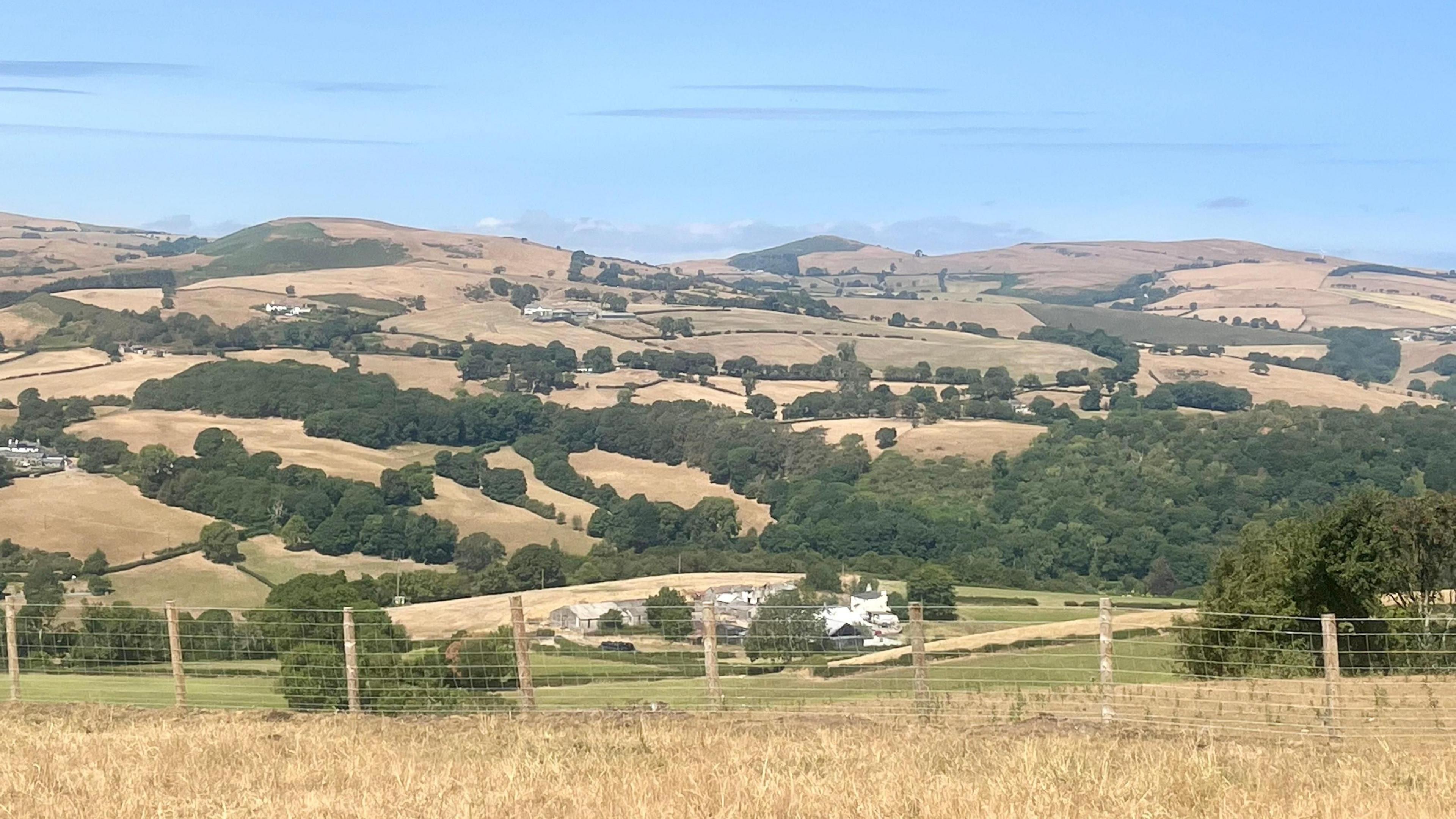 The view from Nantglyn, Denbigshire of an agricultural landscape covered with parched fields. There is a fence in the foreground, with dry hills in the background.