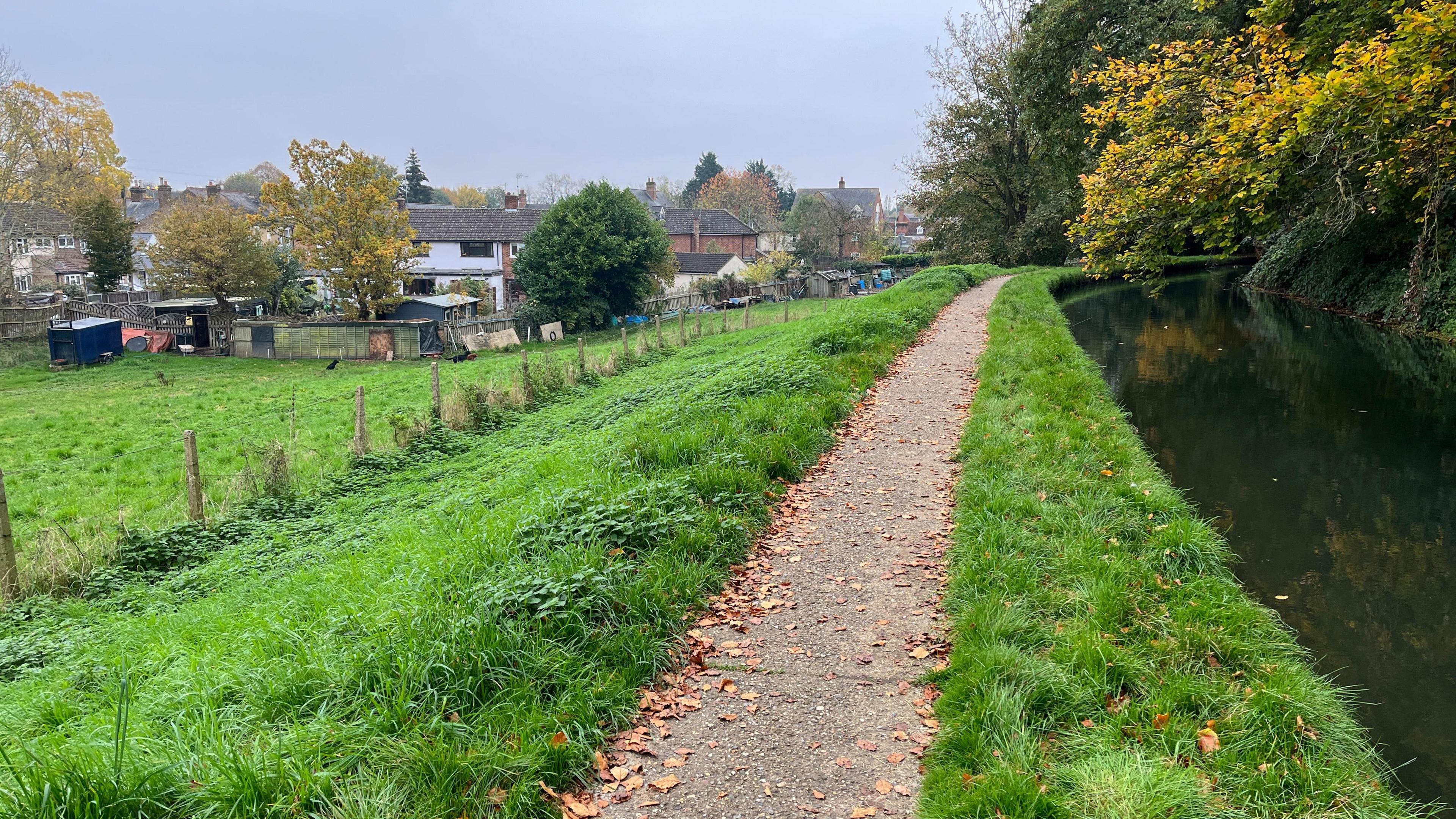 A river with a path running alongside it which is on top of the bank leading down to a field and the back of Mr Hales's home.