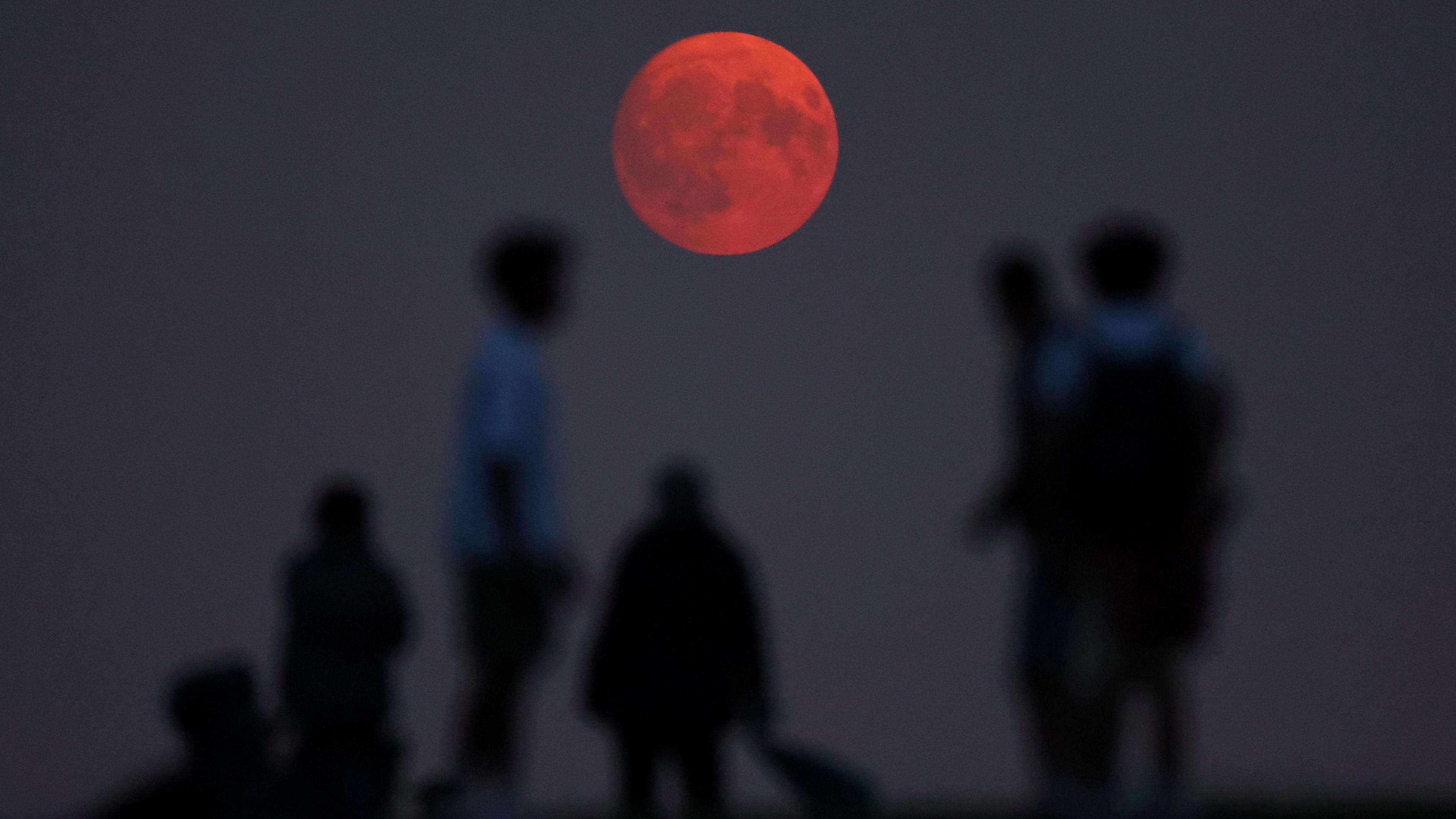 People gathering to see the red Supermoon in London. 