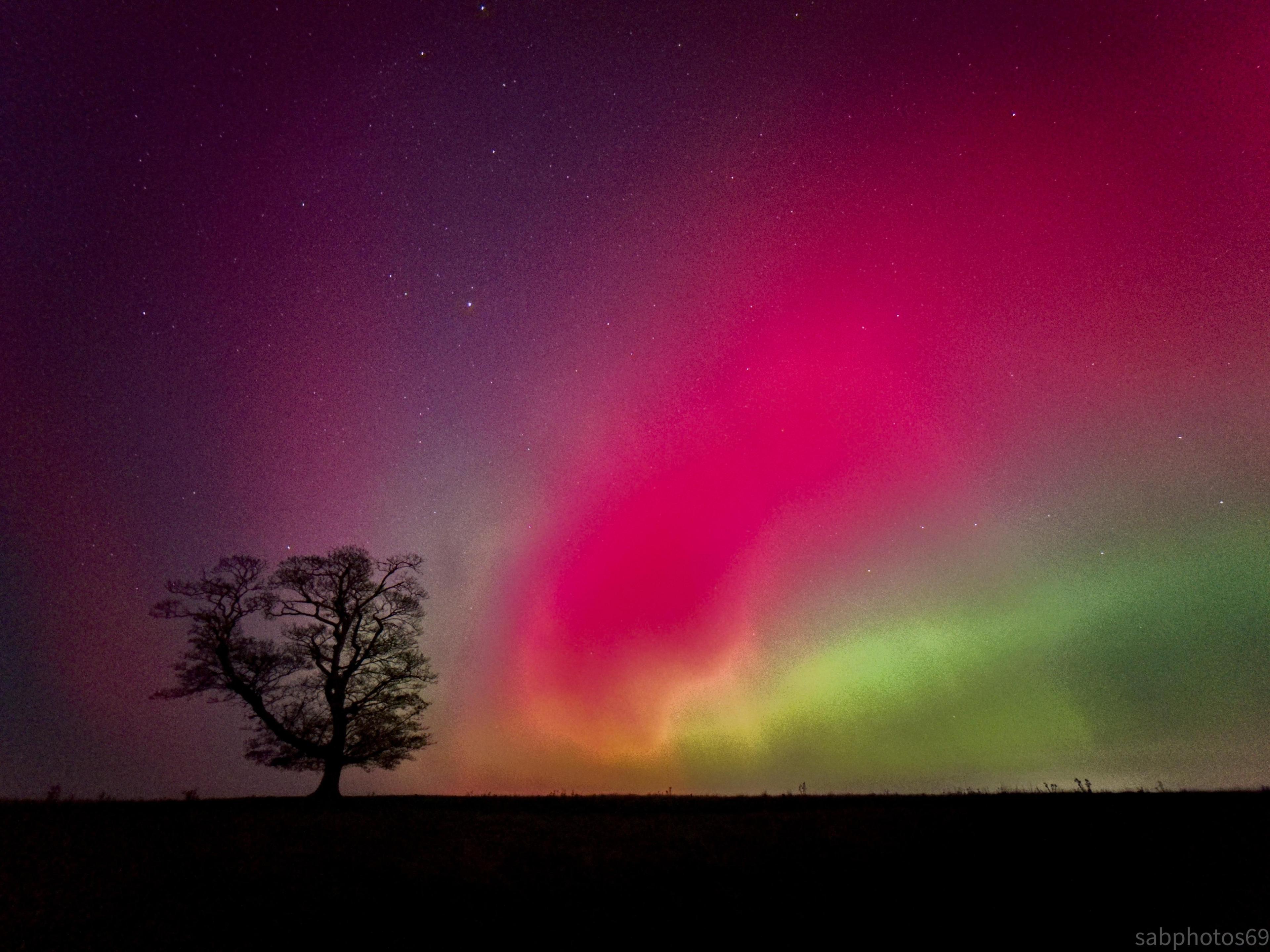 Red, yellow and green colours splash the sky, casting a lone tree in a field in silhouette