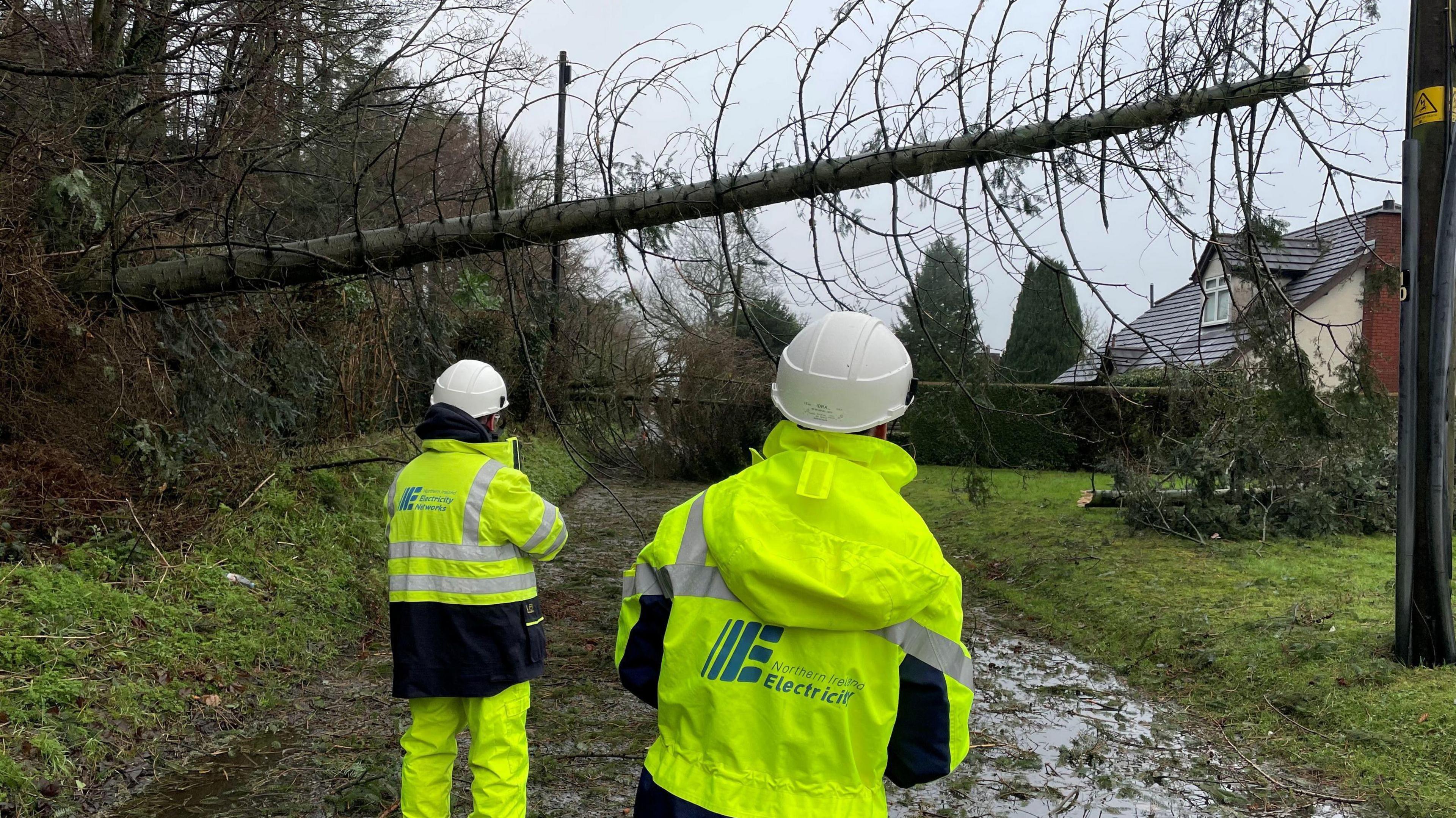 Two electricity engineers in yellow high vis jackets and trousers and white hats inspect damage caused by a falledn tree. Their backs are to the camera. The tree has fallen across a muddy road, beside a power line. There are houses and other trees in the distance.