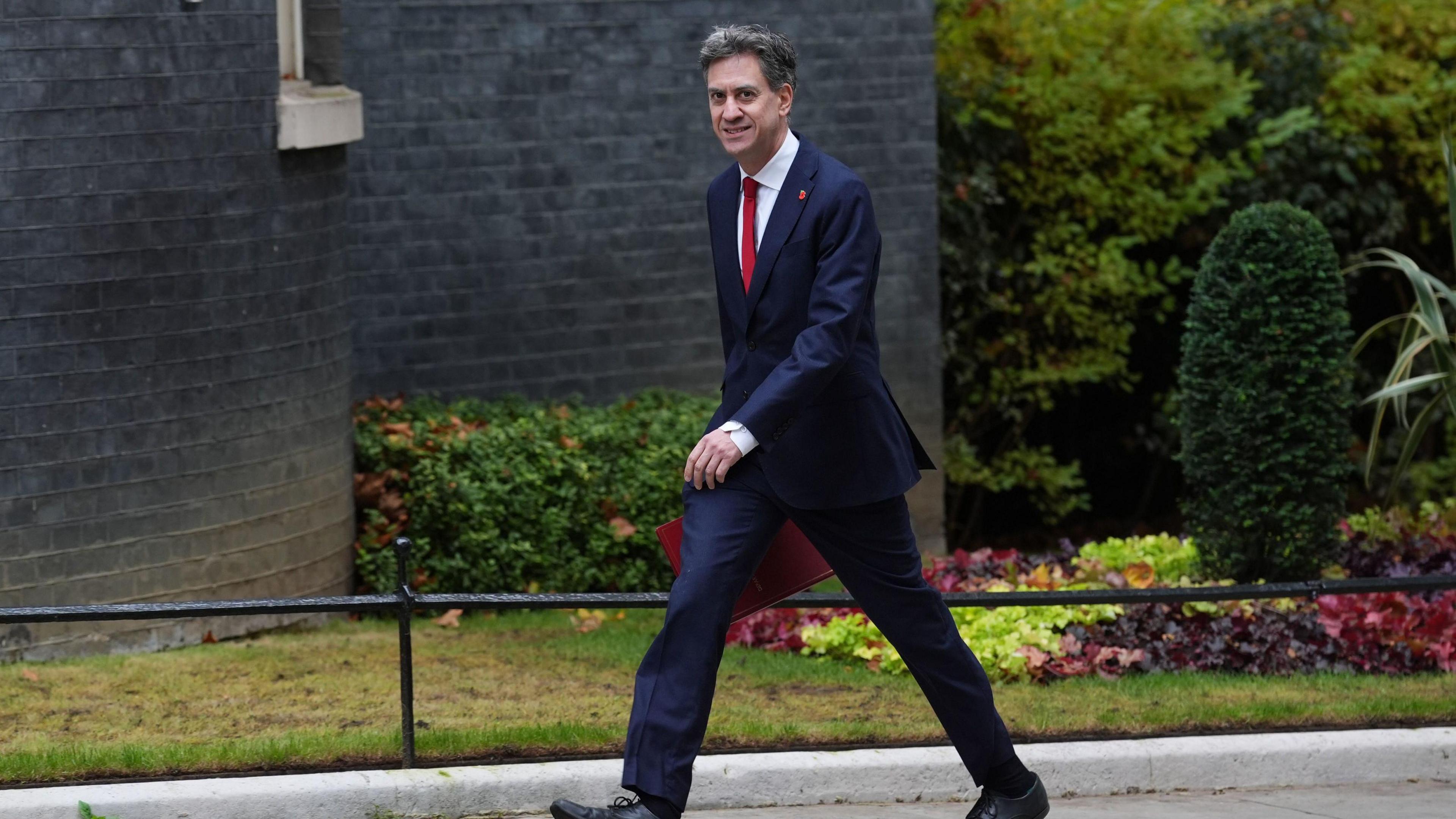 Ed Miliband looking at the camera while mid-stride holding a red briefcase. He is wearing a dark blue suit with a white shirt, red tie and red lapel pin. He is in front of a garden with green and pink plants and a dark wall. 