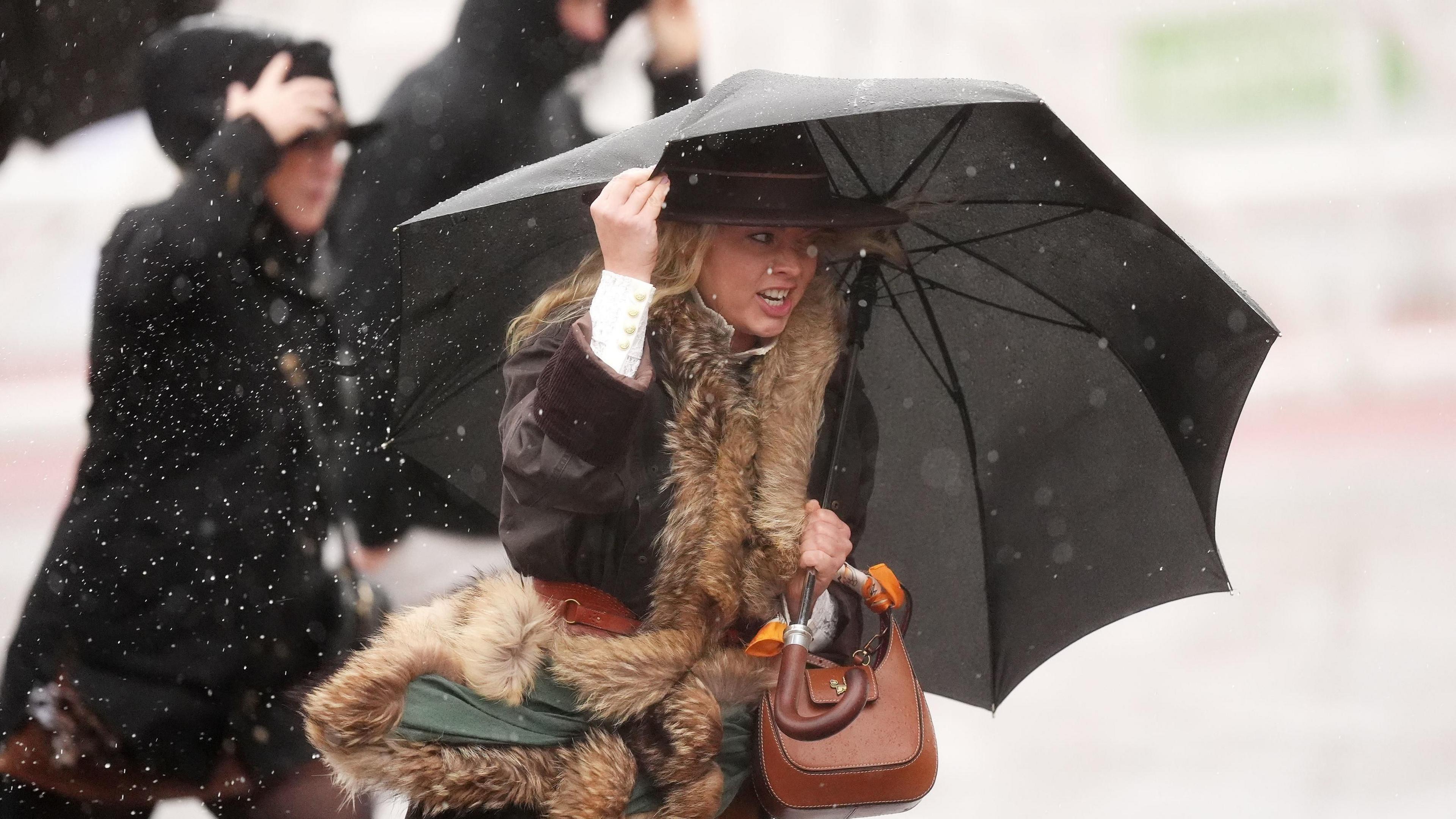 A woman dressed in a brown coat with a wide-brimmed brown felt hat clutches a black umbrella as she struggles through the wind at Cheltenham racecourse. She carries a brown handbag and has a fur stole around her neck.