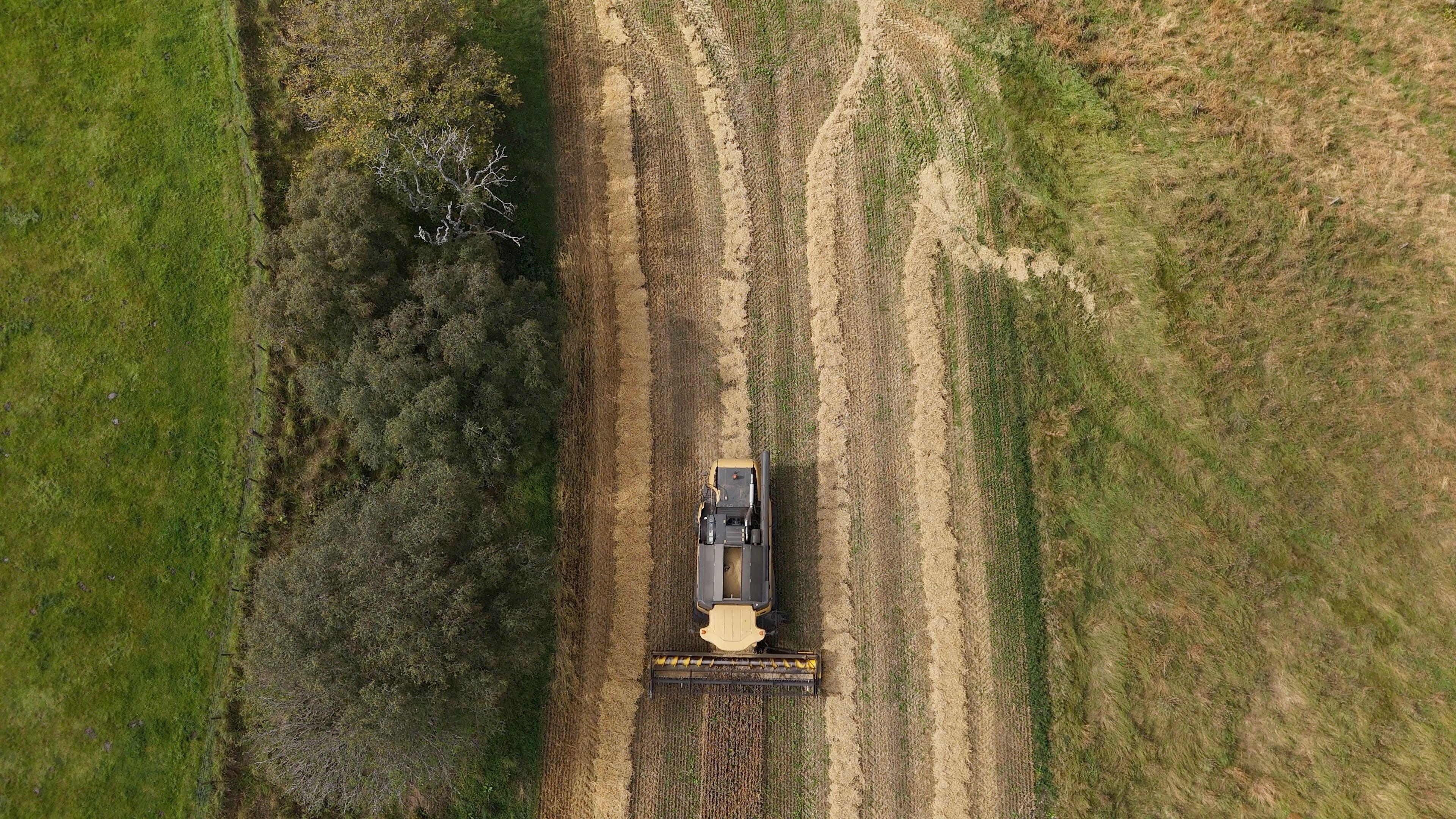 An aerial view of a combine in Aberdeenshire, with dry grass on right