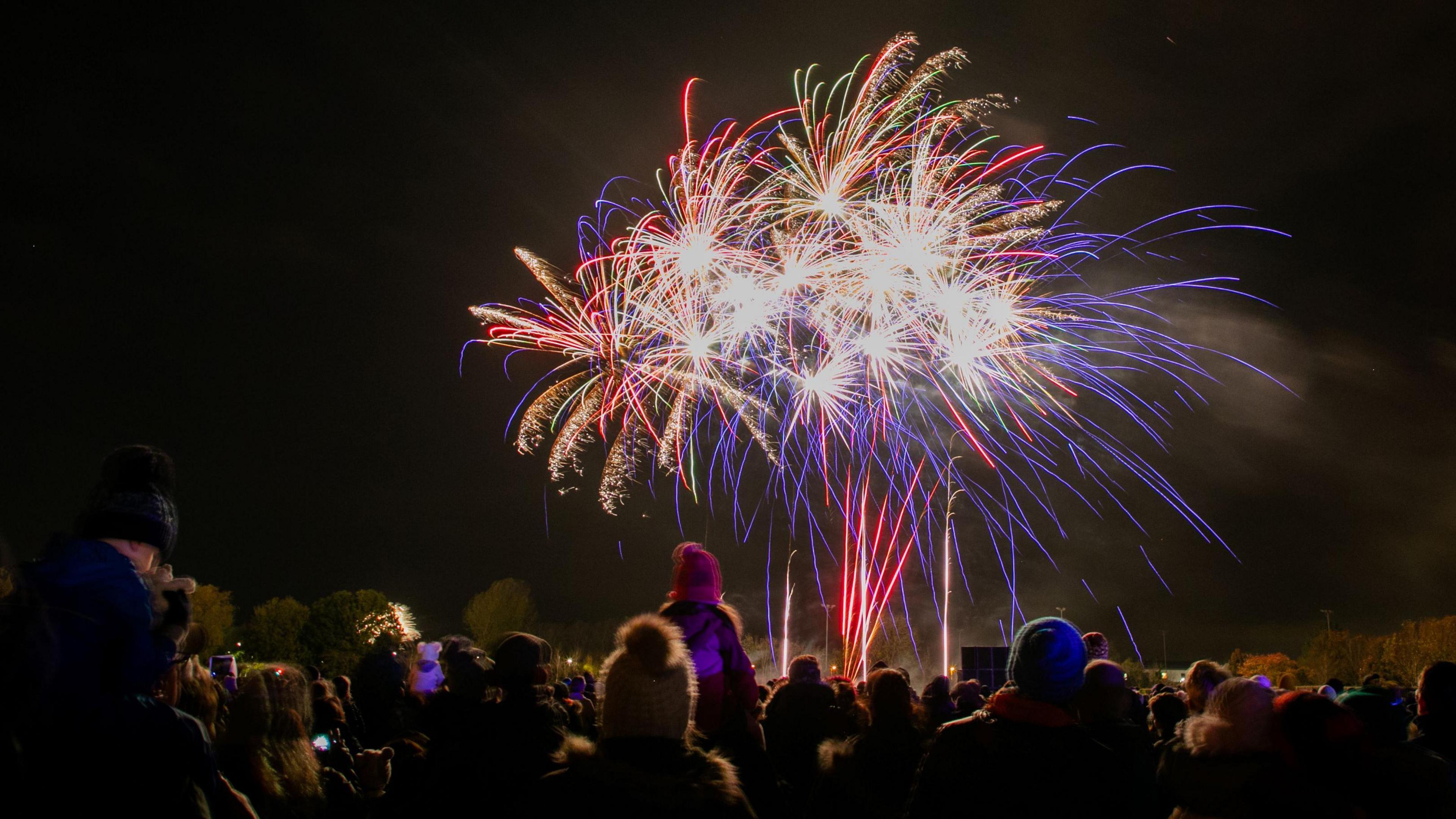 A cluster of colourful firework display explosions are seen against a dark night sky. In the foreground is a large crowd of people watching, many of them wearing winter hats and some with children on their shoulders