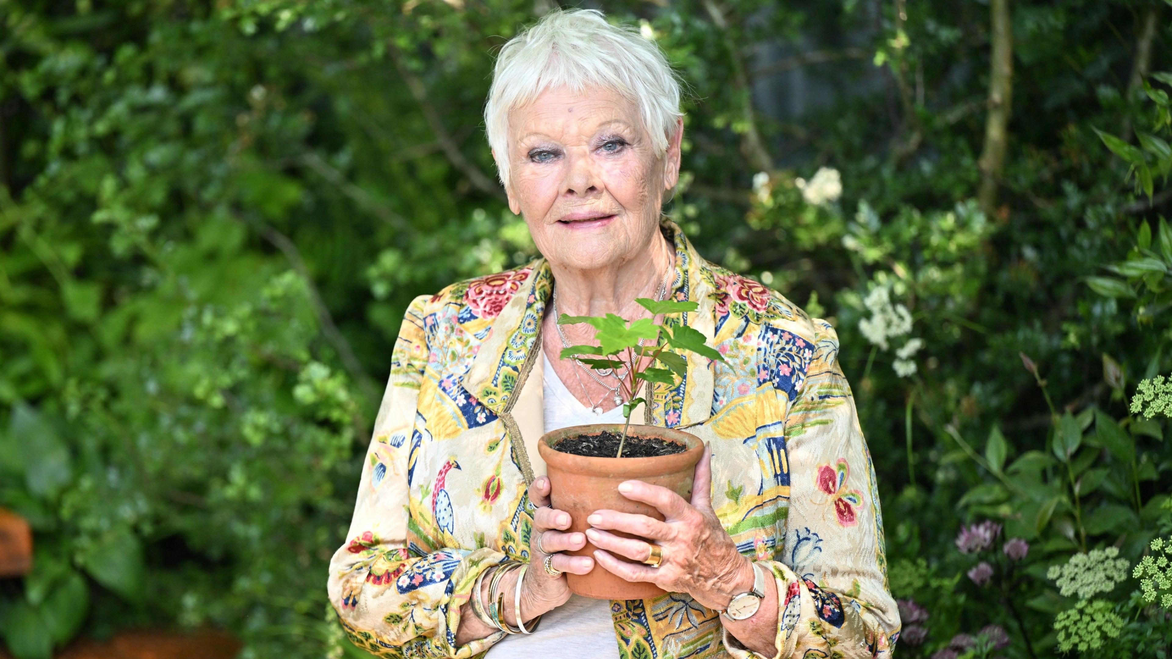 Dame Judi Dench holding a potted flower, wearing a floral jacket and a white top, at the Royal Chelsea Flower Show.