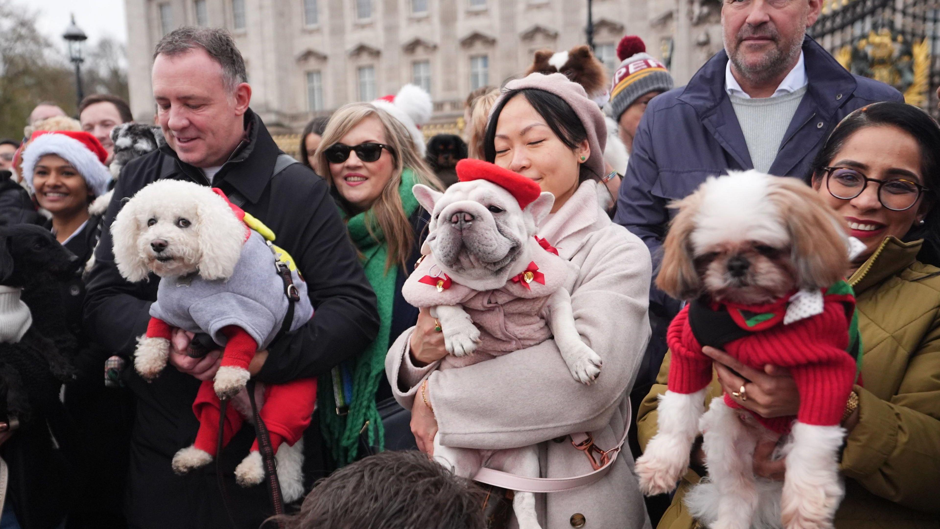 A group of people standing in front of Buckingham Palace with their dogs, wearing festive coats.