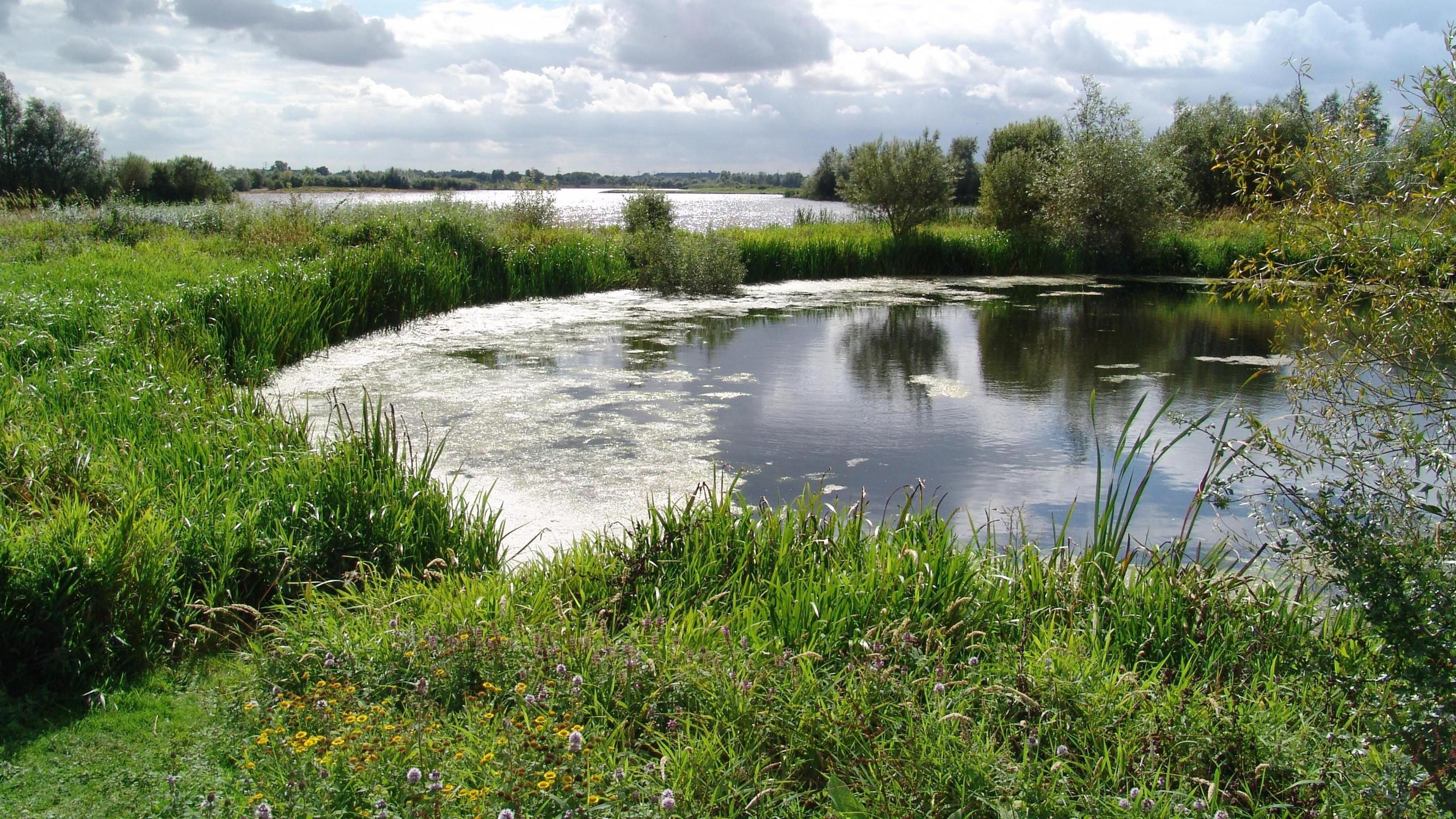 Summer Leys Nature Reserve, showing water, trees, bushes, wildlife and fields in the distance.