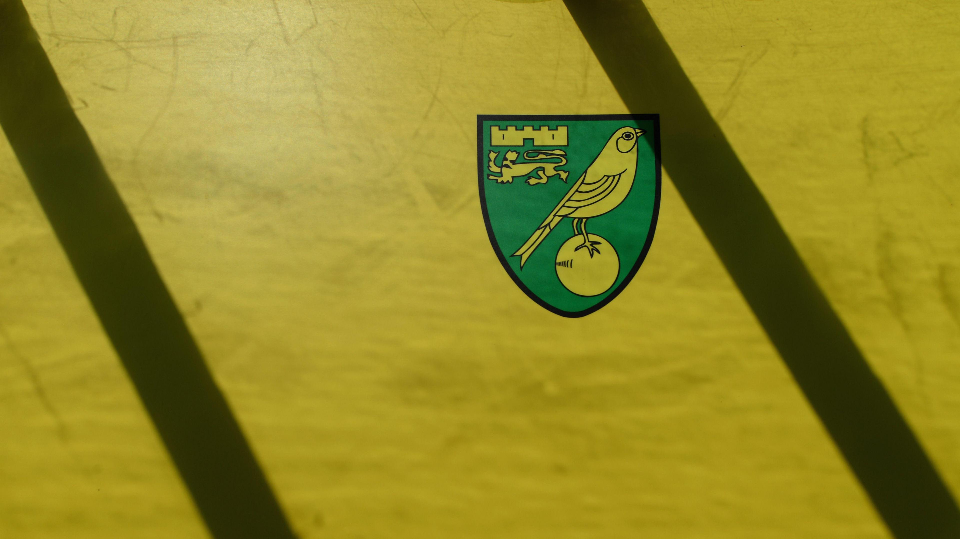 An image of the Norwich City club crest against a yellow background with two lines of black shadows coming across