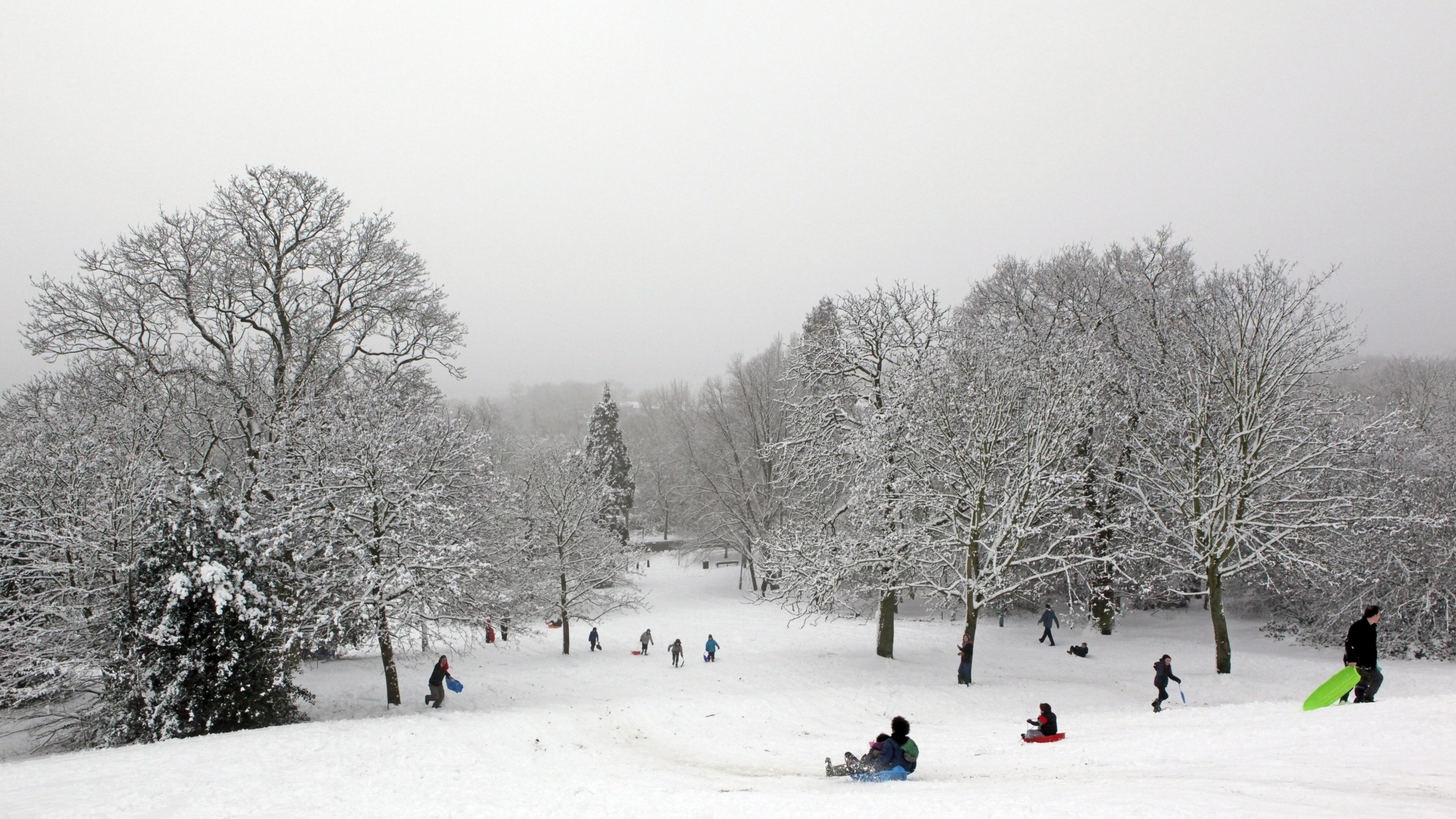 People sledging down a big hill in a snow filled park