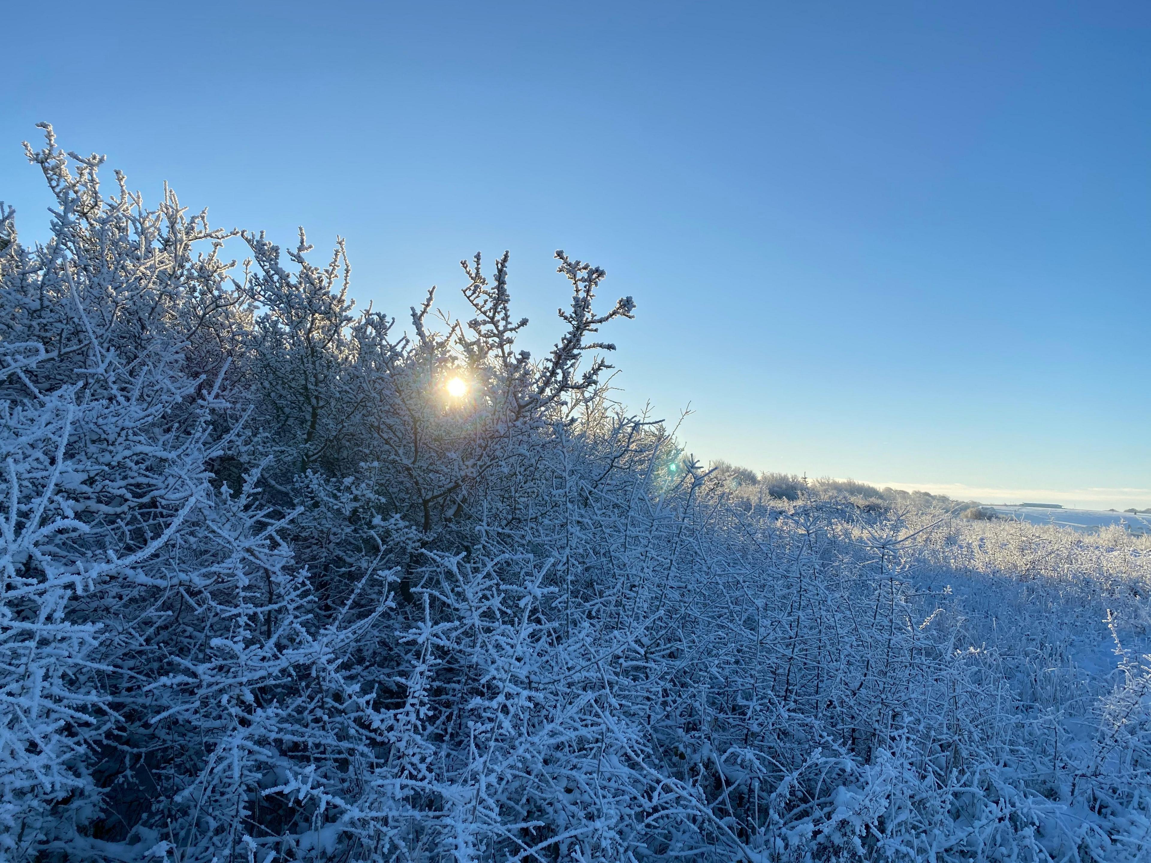 A cold and frosty scene in Dunstable, Bedfordshire