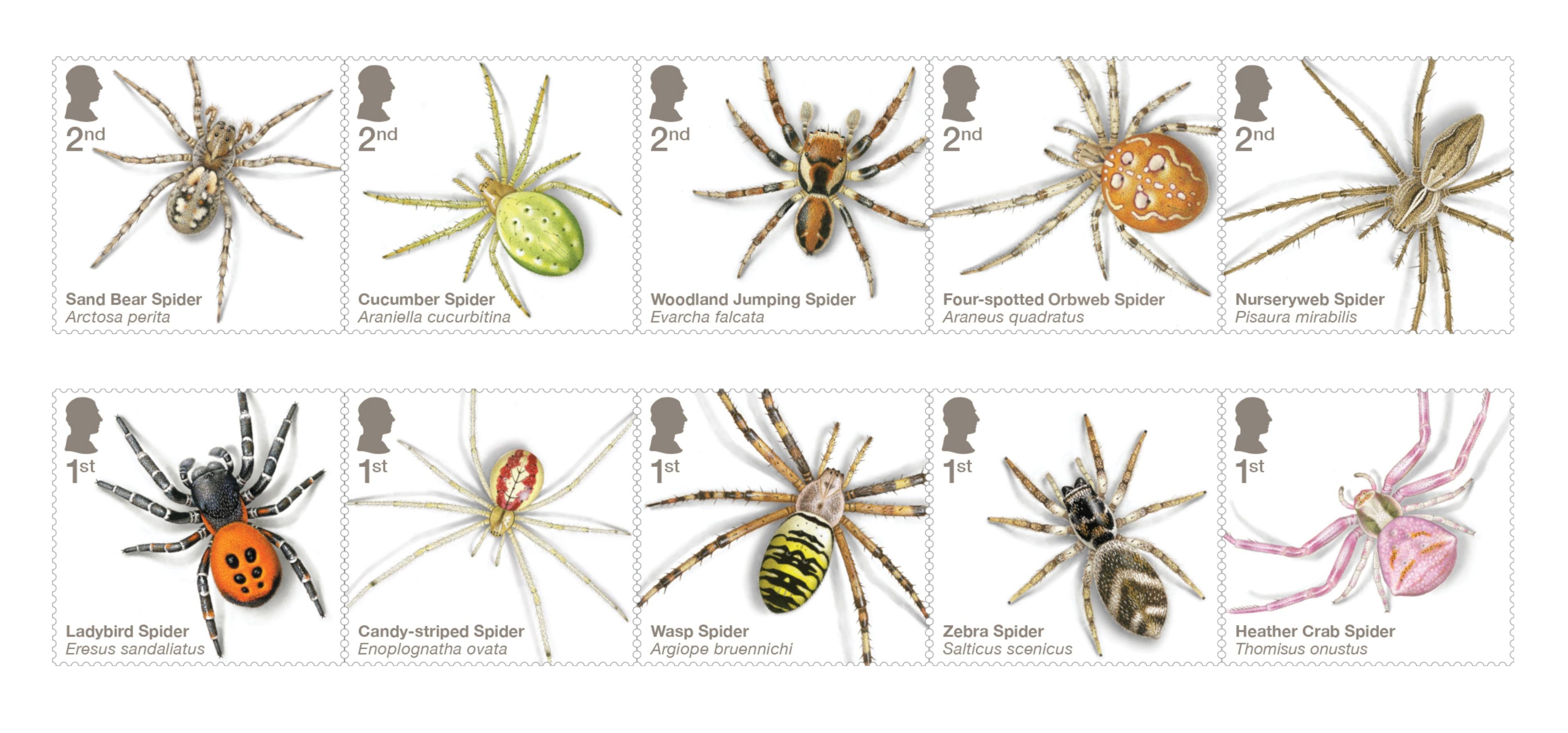 10 spiders on stamps