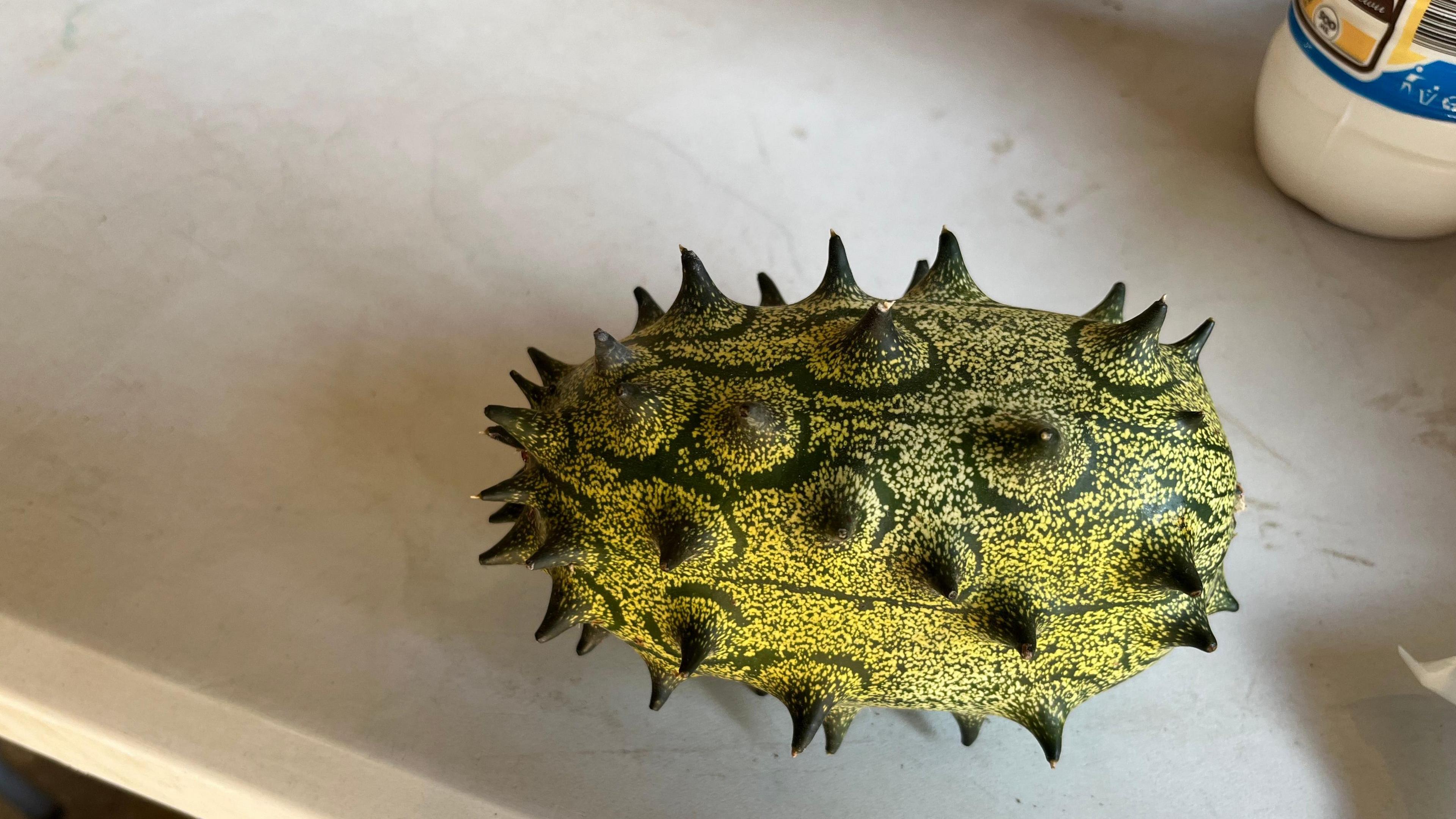 A horned melon, also known as kiwano, is shown resting on a light-colored surface. The fruit has a striking and unusual appearance: its skin is green with yellow patches and decorated with lighter green speckles. Covering the surface are evenly spaced, sharp-looking spikes that give it a horned texture, almost like a small, spiky alien fruit. 
