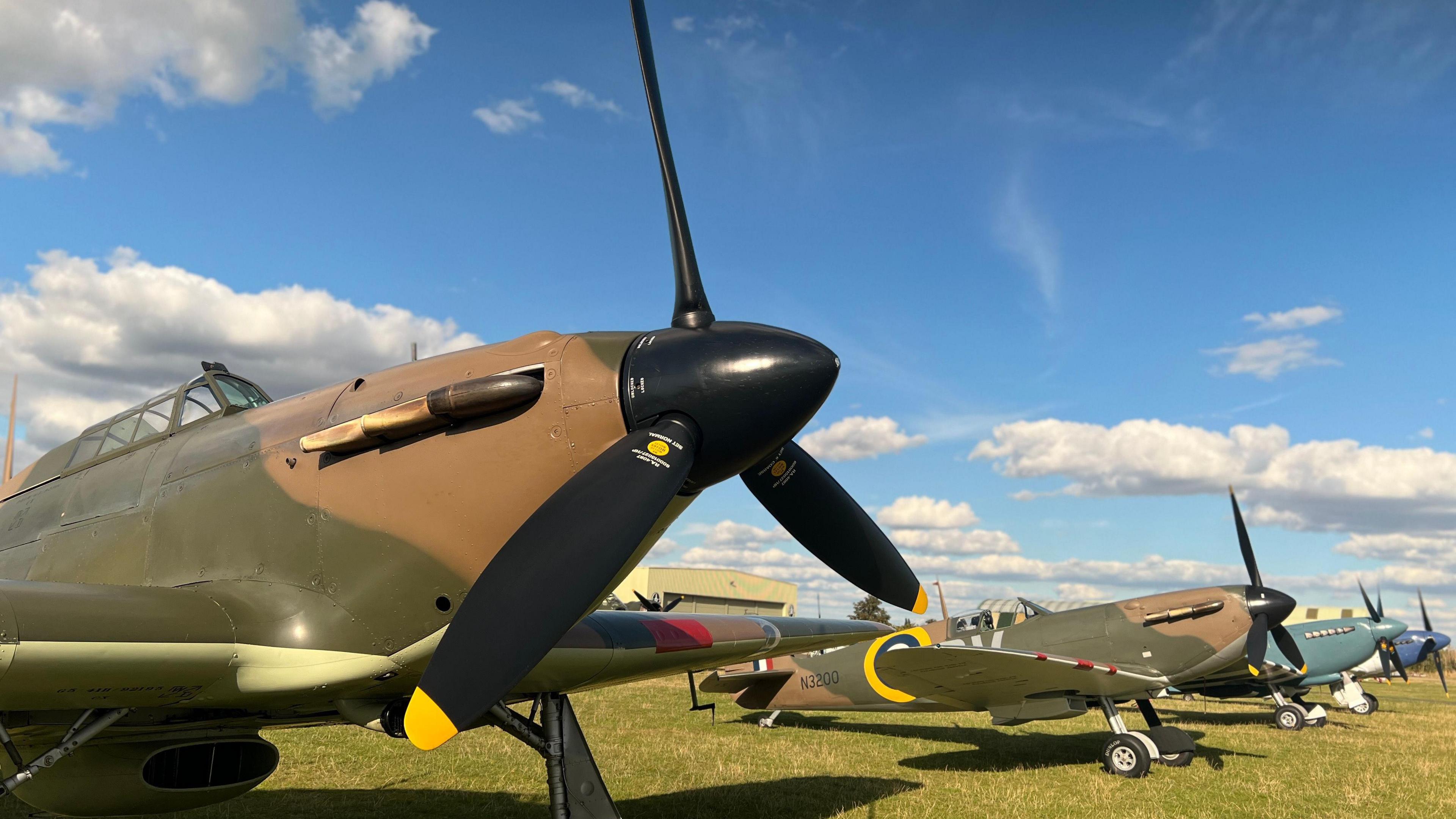 Several warbird planes in a line, they are painted in dark green and brown camouflage with black propellers. They are positioned on grass and behind them is a bight clue sky with some white clouds. 