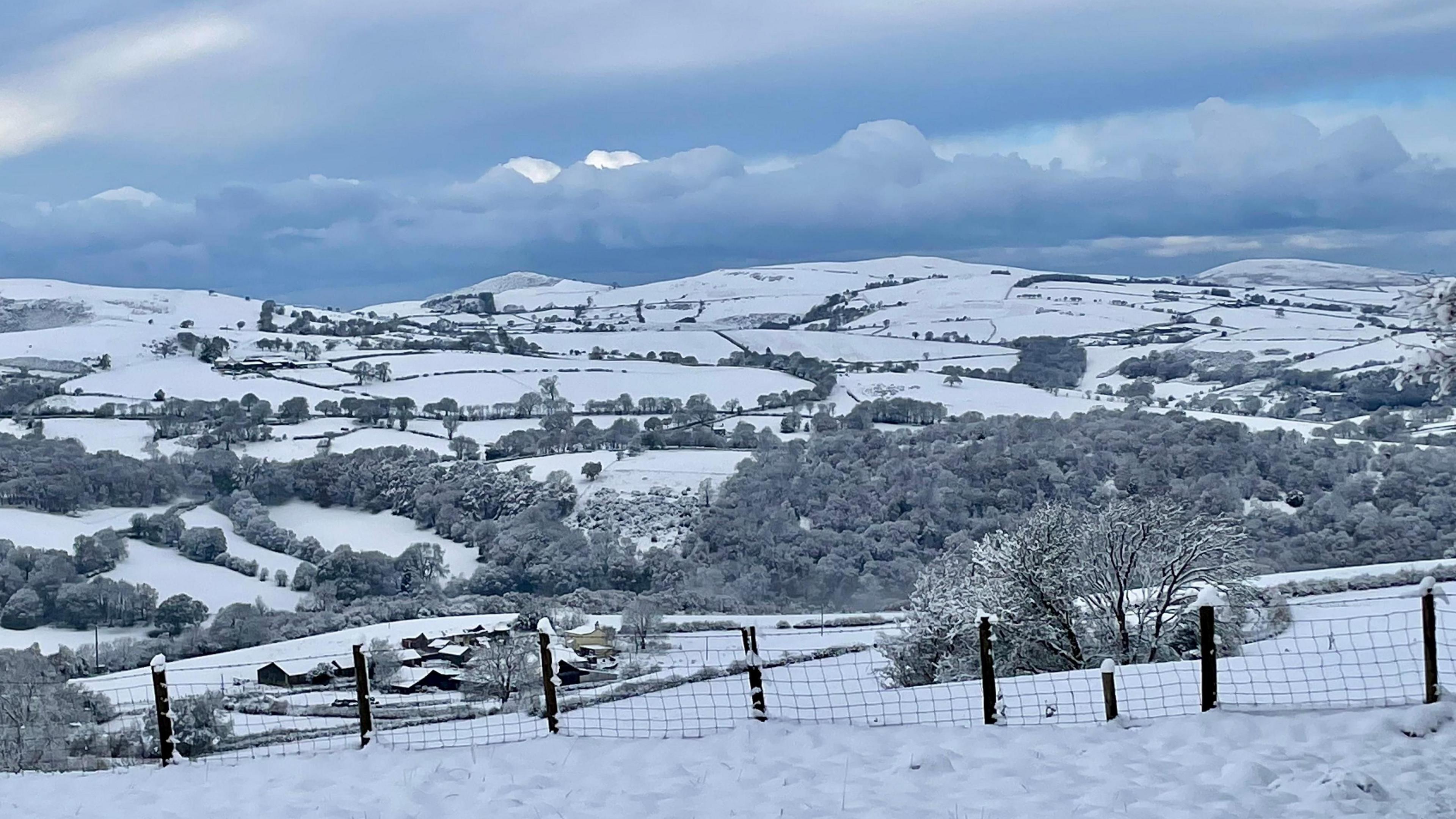 Snow-covered fields with hills and more snow in the background. The trees are covered in a light dusting and the sky is grey blue