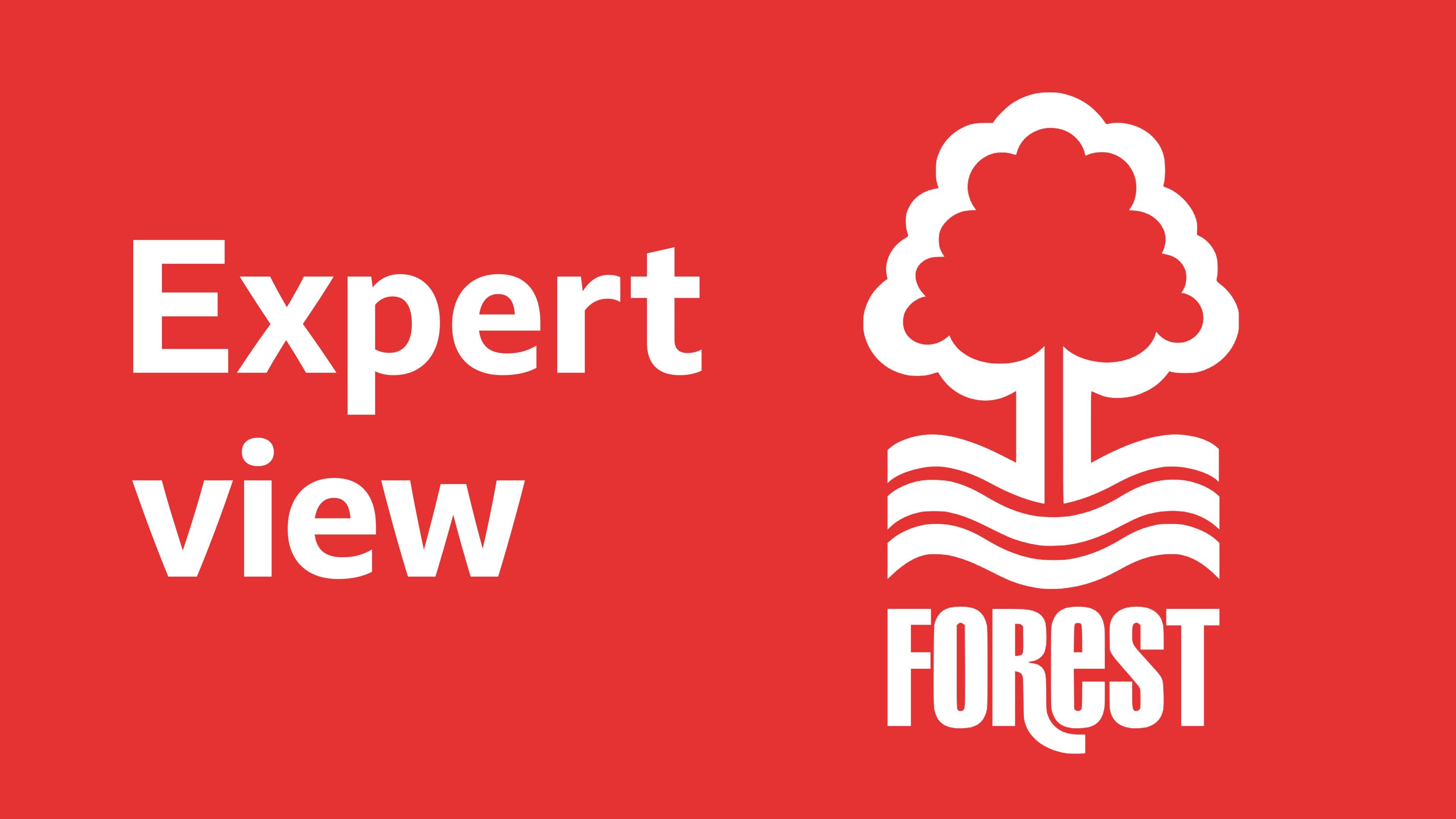 Expert view banner