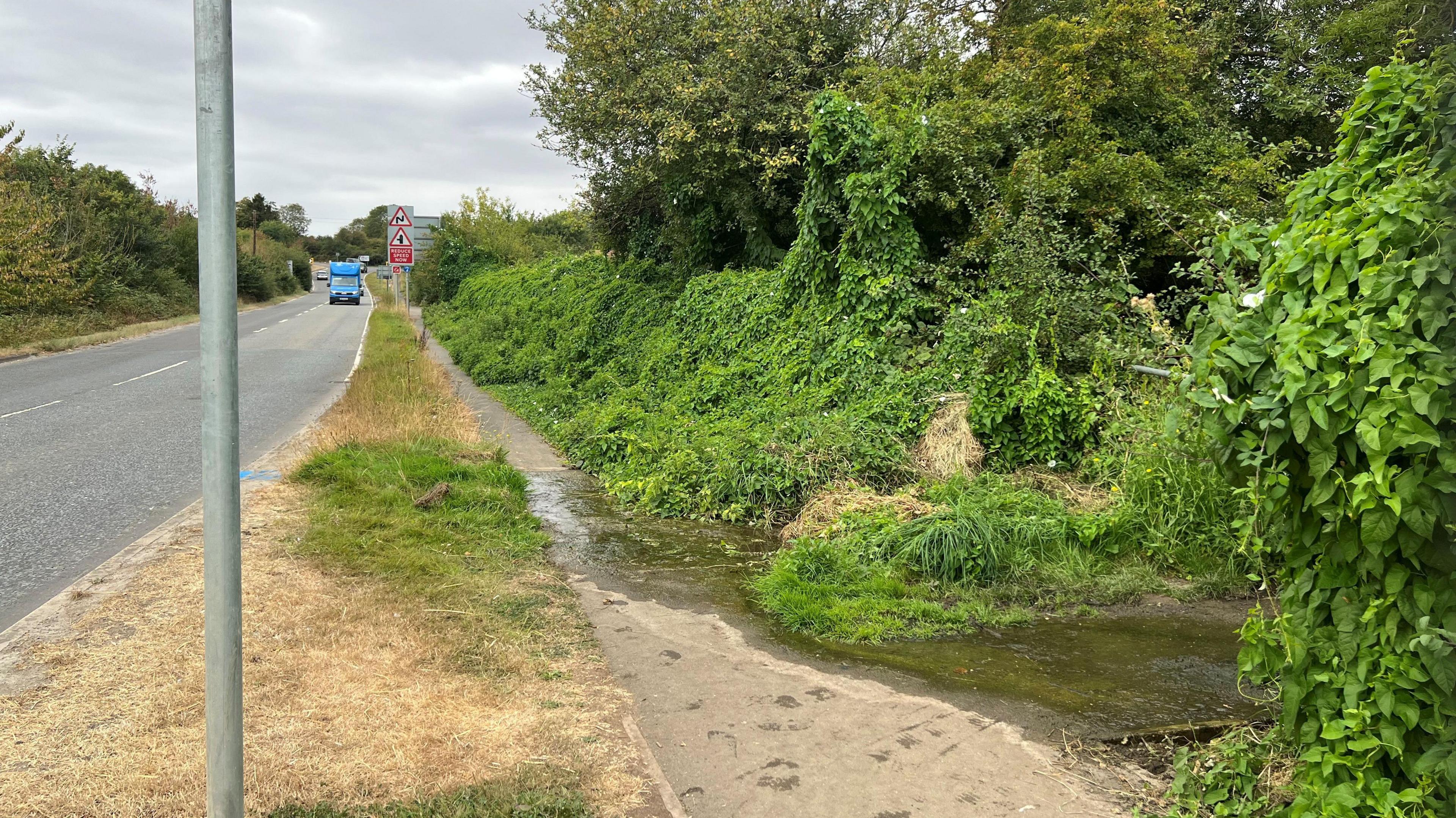The A151 - a road with high hedgerows on either side. A blue van is driving towards the camera and there is a road sign warning of an upcoming junction. The grass is dry and yellow except for a patch on the verge where water can be seen running along the path and away into woodland on the left. 
