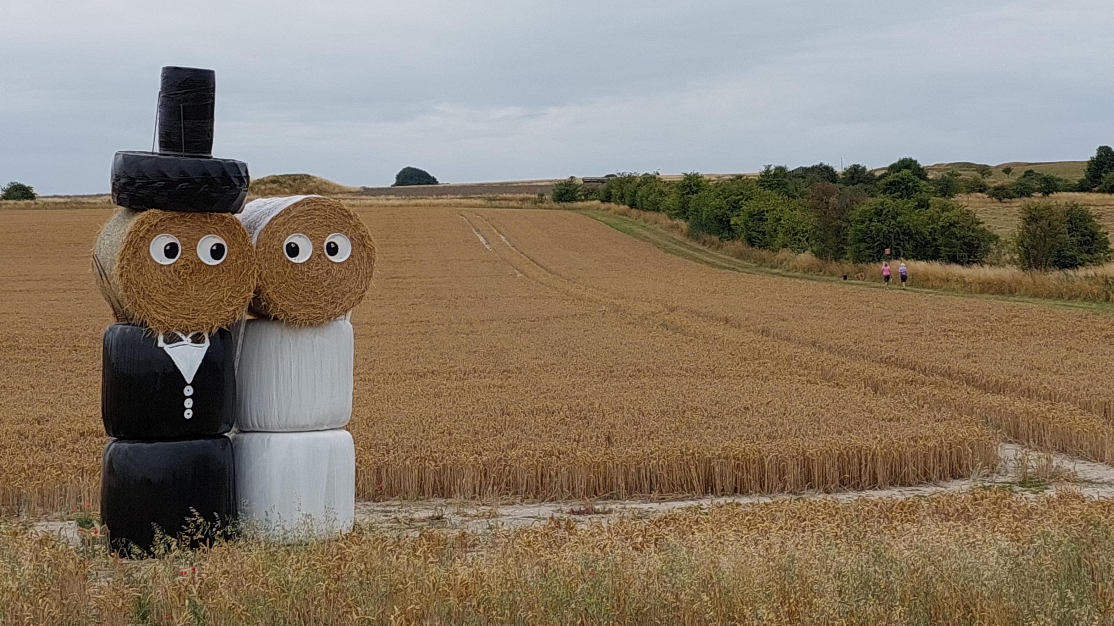 Hay bails stacked up and dressed up as a bride and groom in smart outfits. In the background is a field of light-coloured crops, and a hedgerow