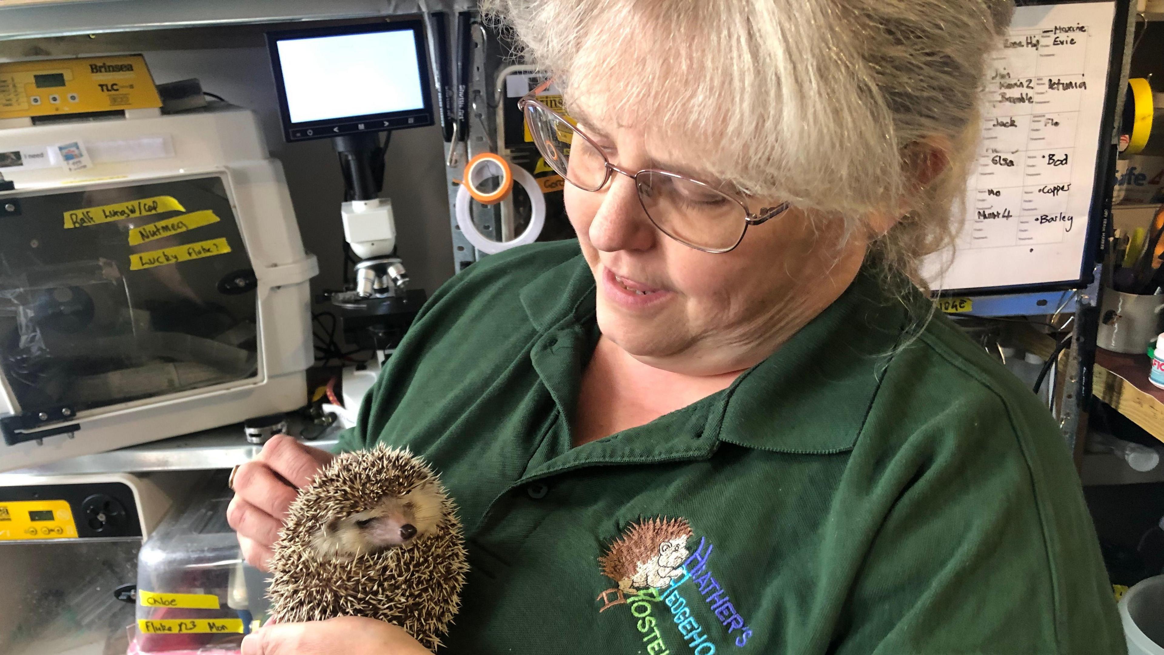 A photo of Heather Johnson holding a hedgehog in her hands. She is looking down and at the hedgehog. She is wearing a green polo top with her rescue's logo on it. Rescue equipment can be seen on a shelf behind her.