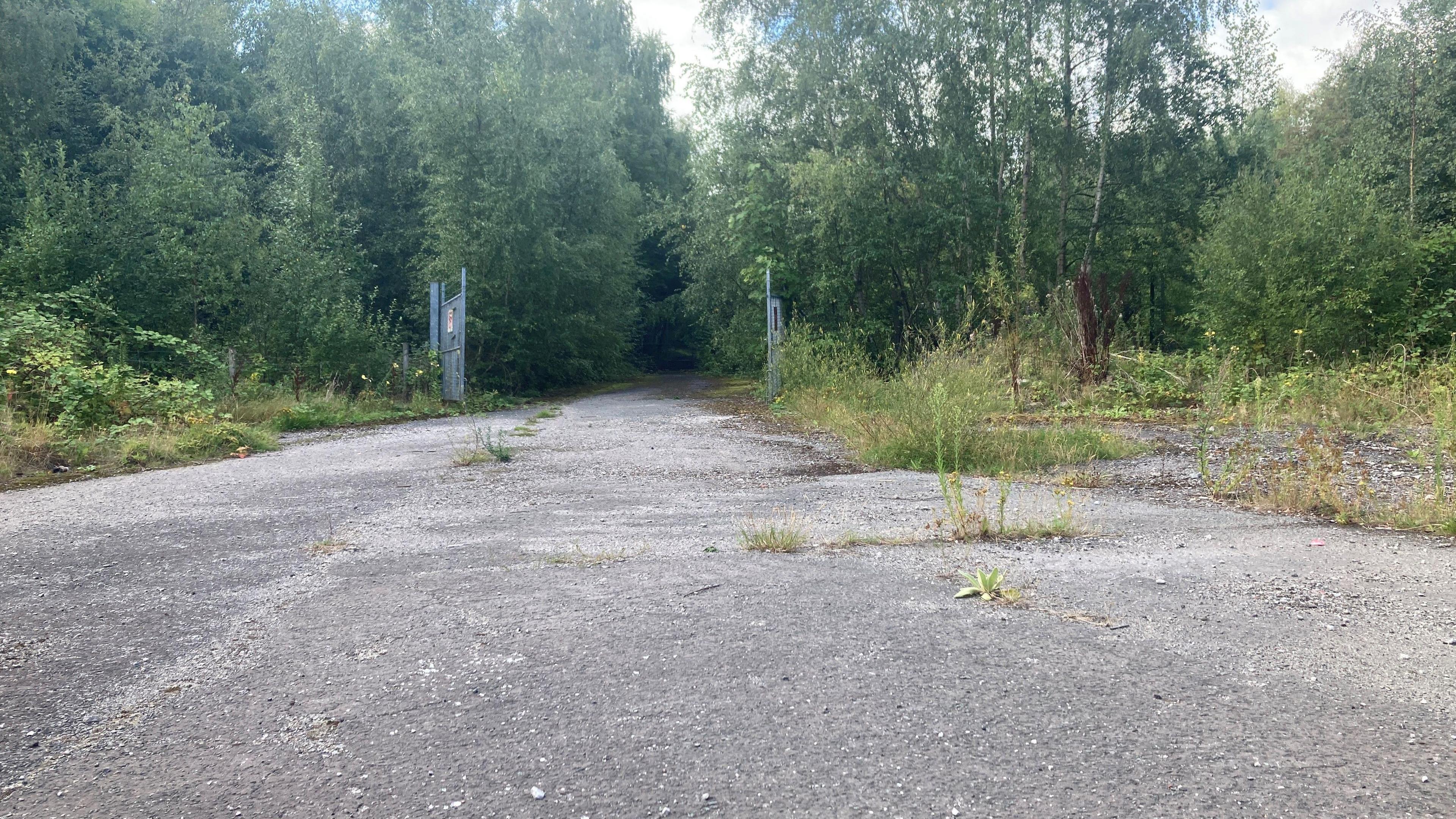 Image shows the entrance to the site. There is a hard-standing path running up to large metal gates, with scrub and vegetation on both sides and trees beyond the gates. 