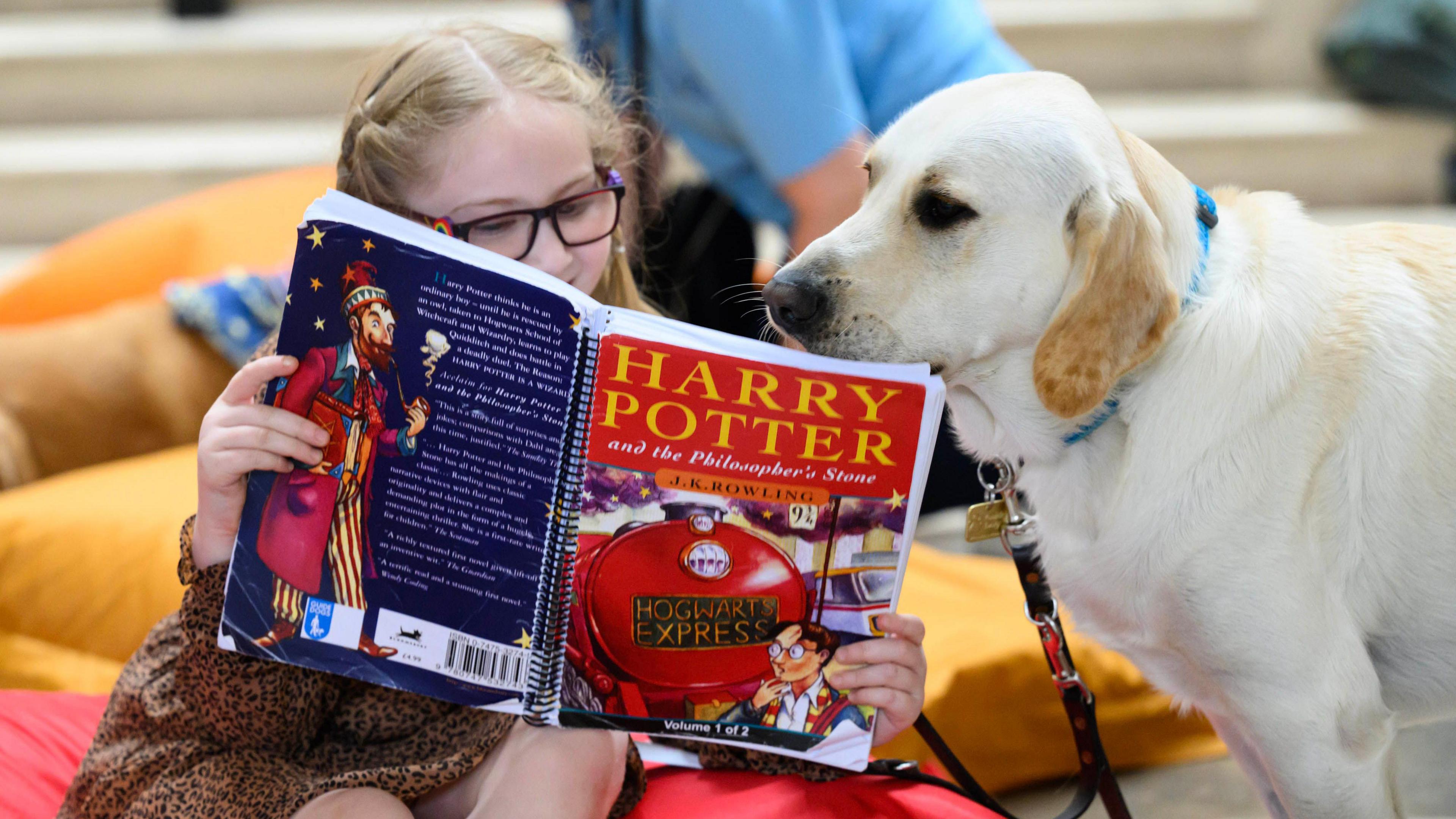 Young girl reading Harry Potter book to a guide dog