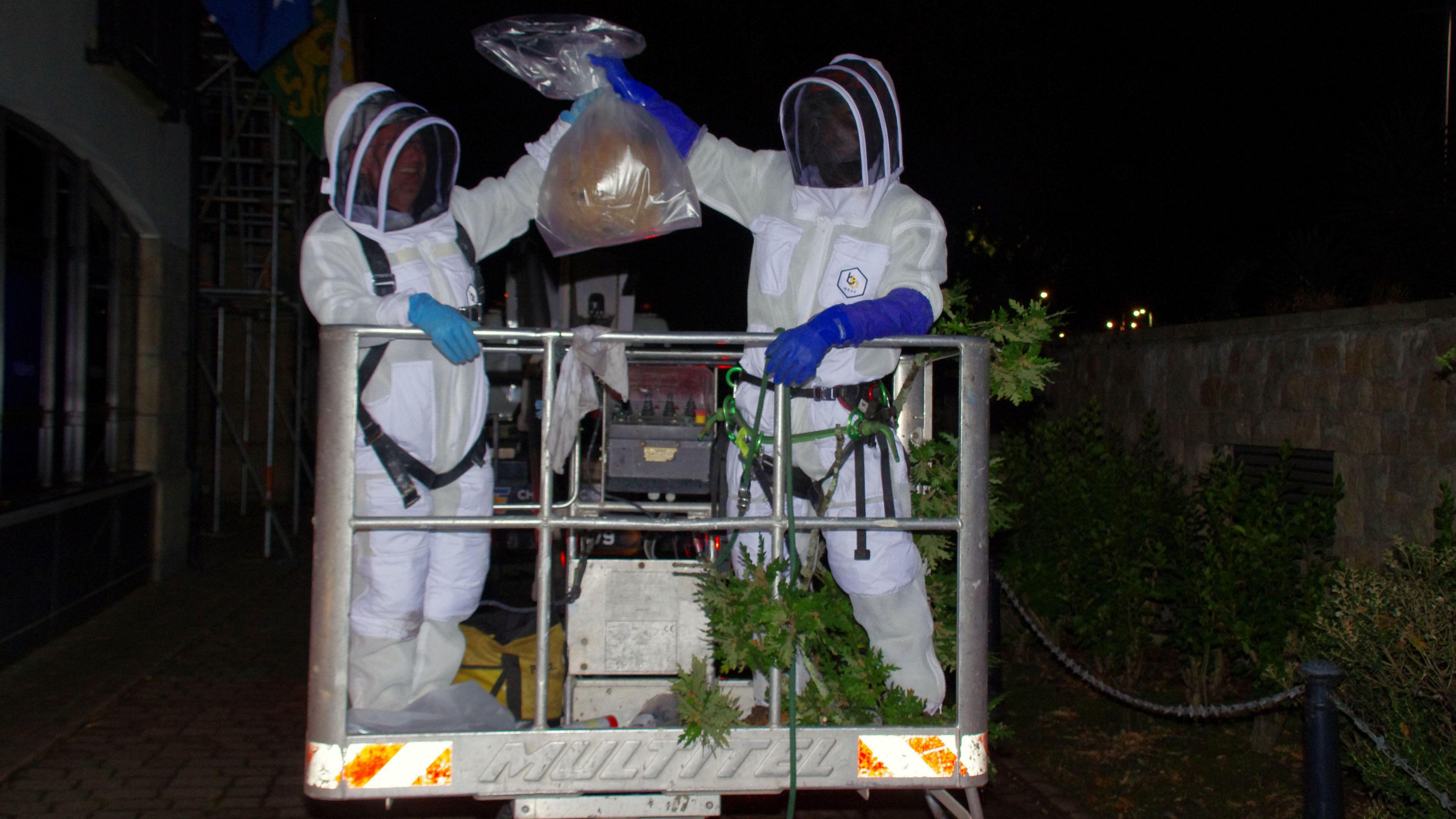 Two people wearing beekeepers' protective clothing and face-shield stands on a cherrypicker platform holding up an Asian Hornet's nest in a transparent bag