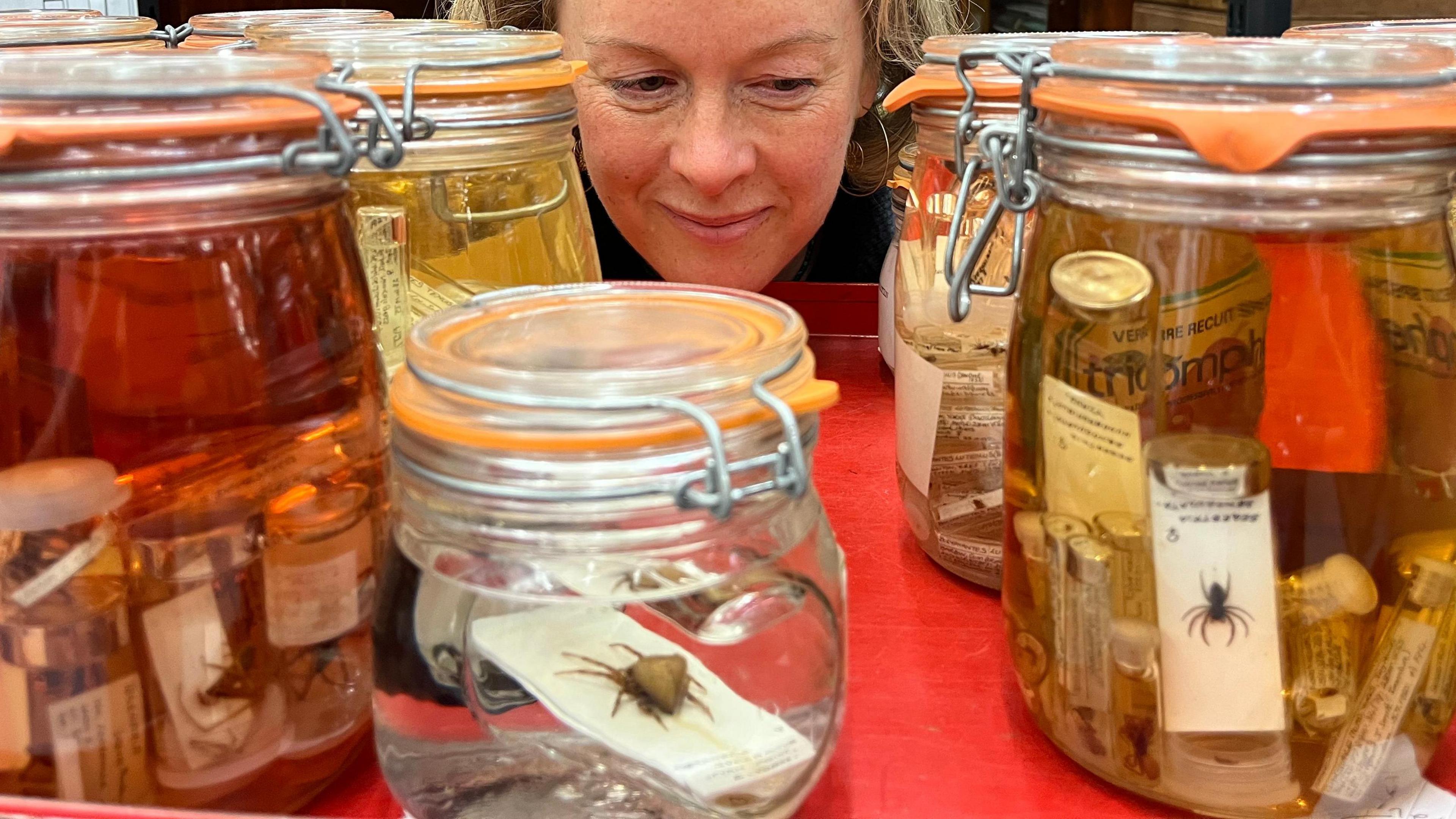 A woman peers between jars of spider specimens.