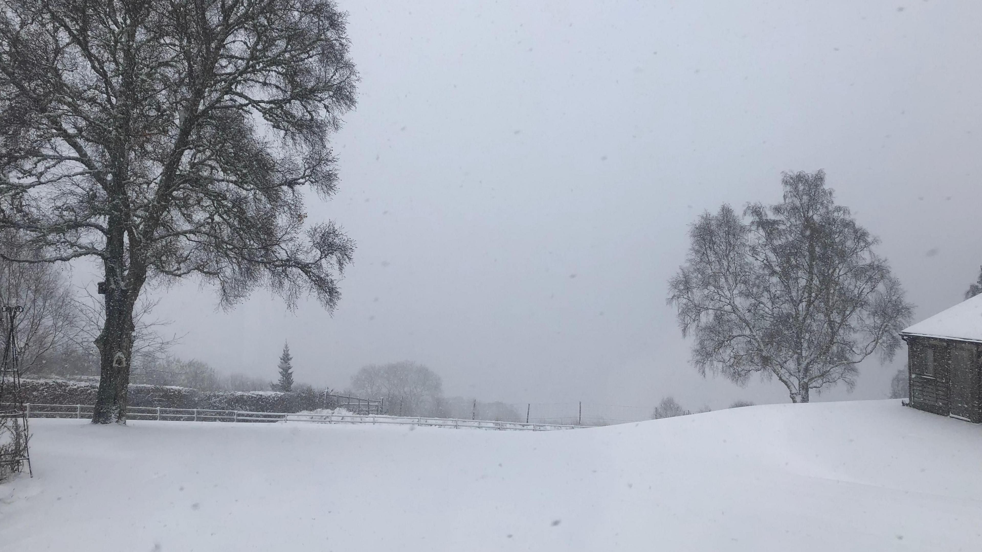 Heavy snow over a field with a white sky