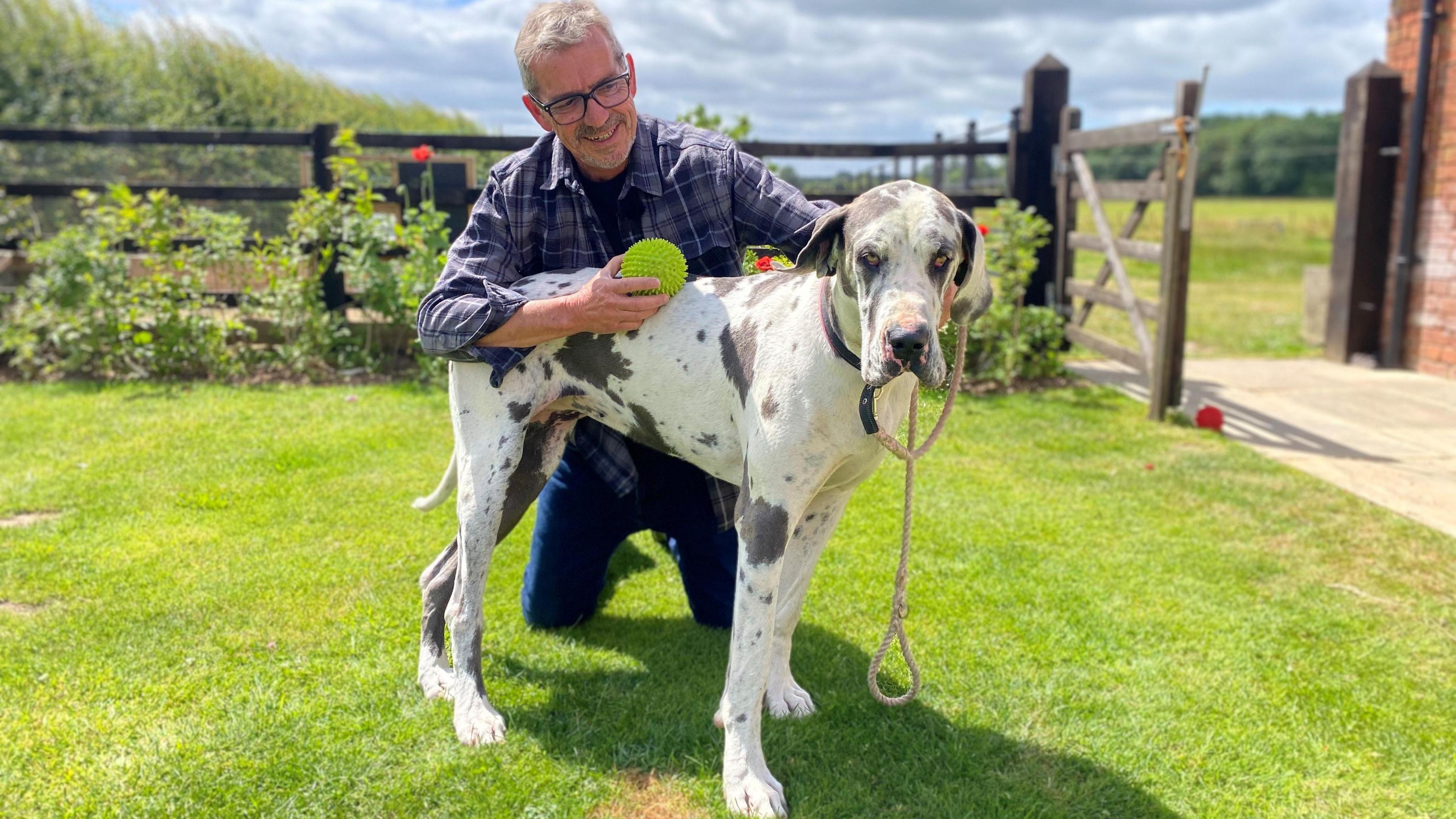 Mr Ross, kneeling in front of pet Great Dane, Piper, in his garden