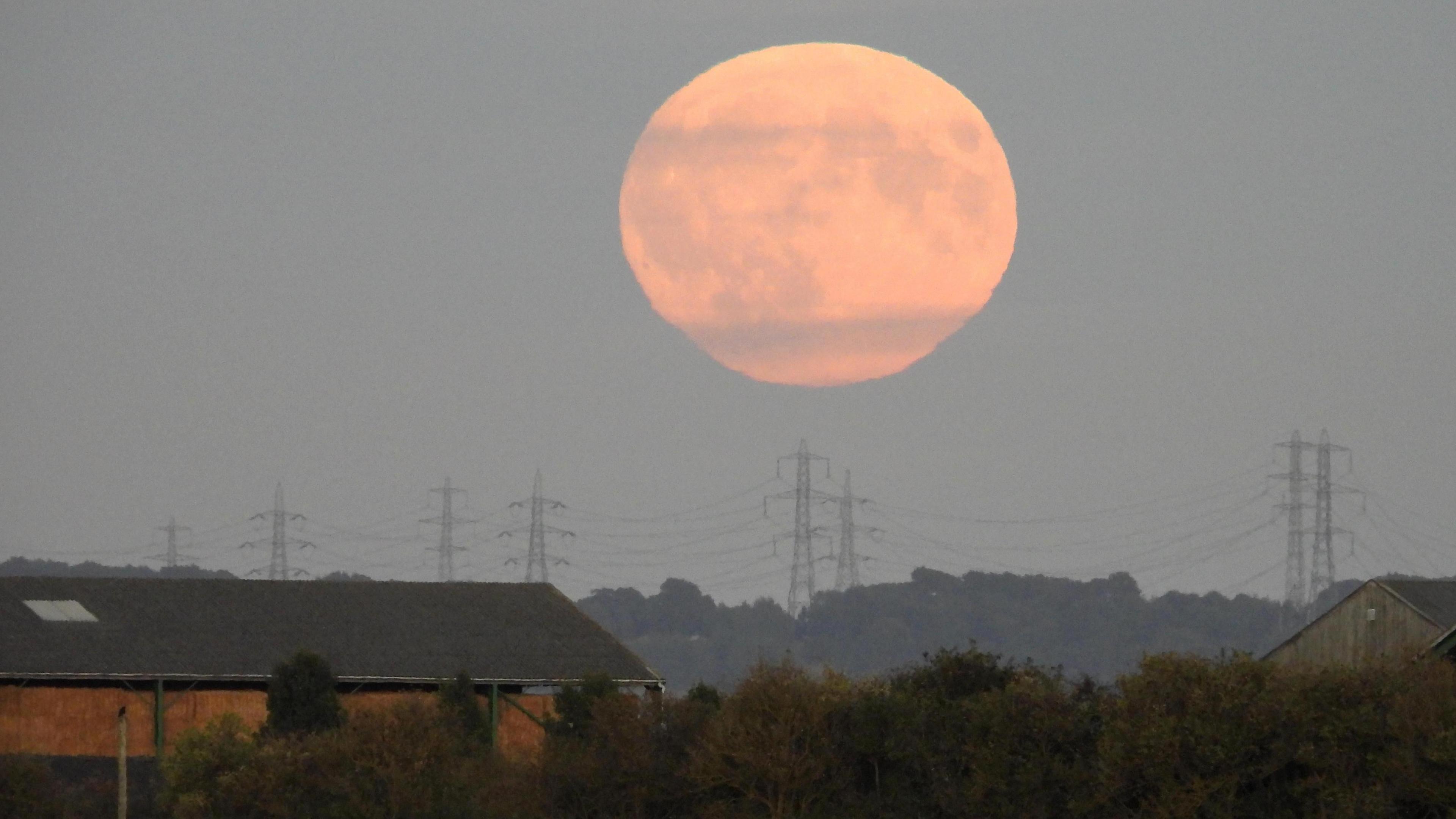 A coppery big moon hovers above several pylons. Two buildings can be seen on the left and right of the picture, separated by trees and bushes.