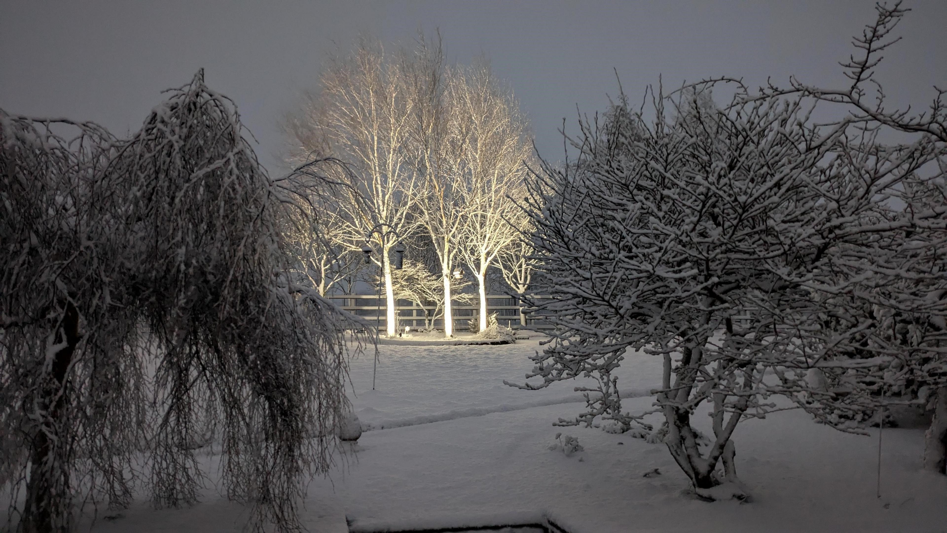 Trees and grass covered in snow at Newbuildings 