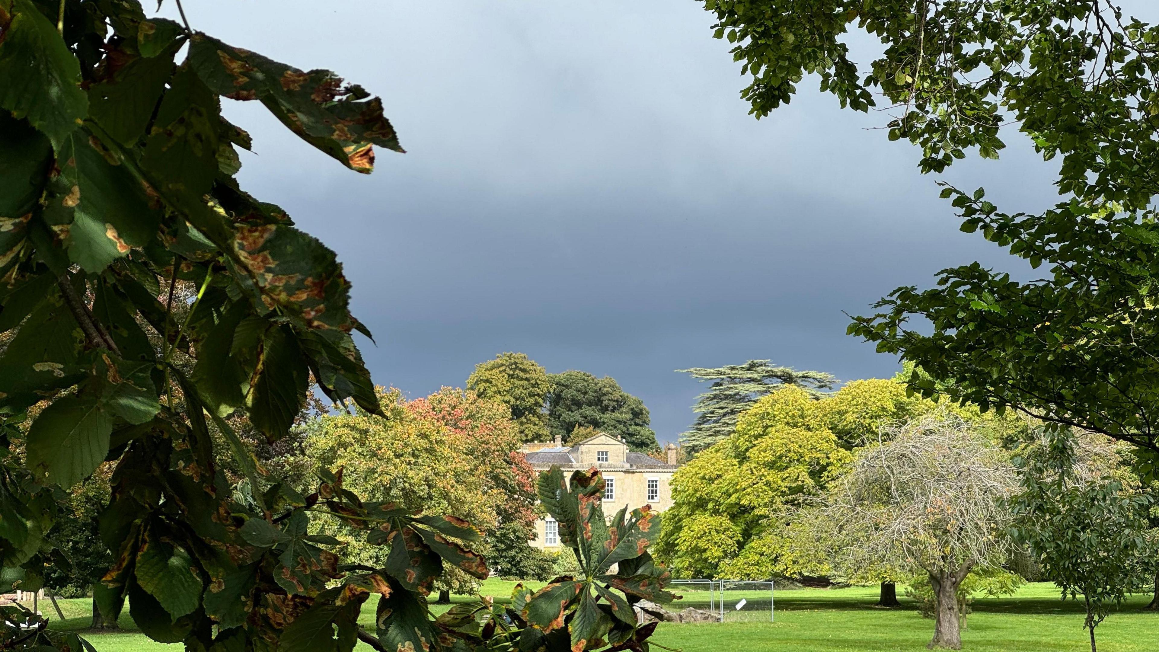 A large home with cream-coloured bricks can been seen in the distance with tree branches and trees in the foreground framing the house. The sky is a dark grey colour and threatening rain