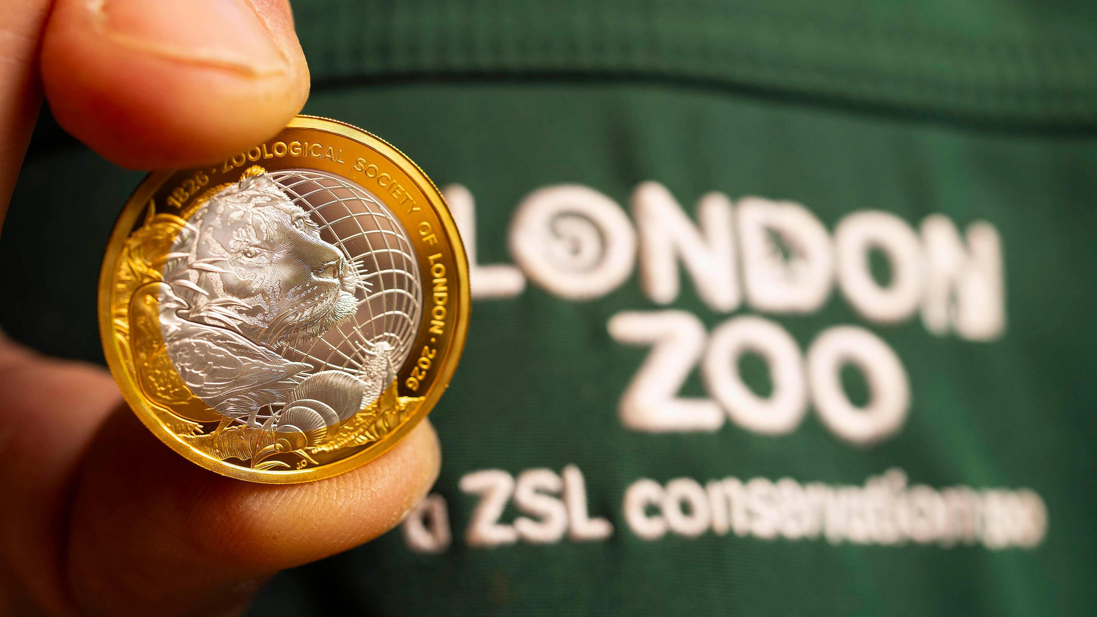 A gold and silver two pound coin with a tiger, snail and bird on it is being held by someone wearing a london zoo tshirt