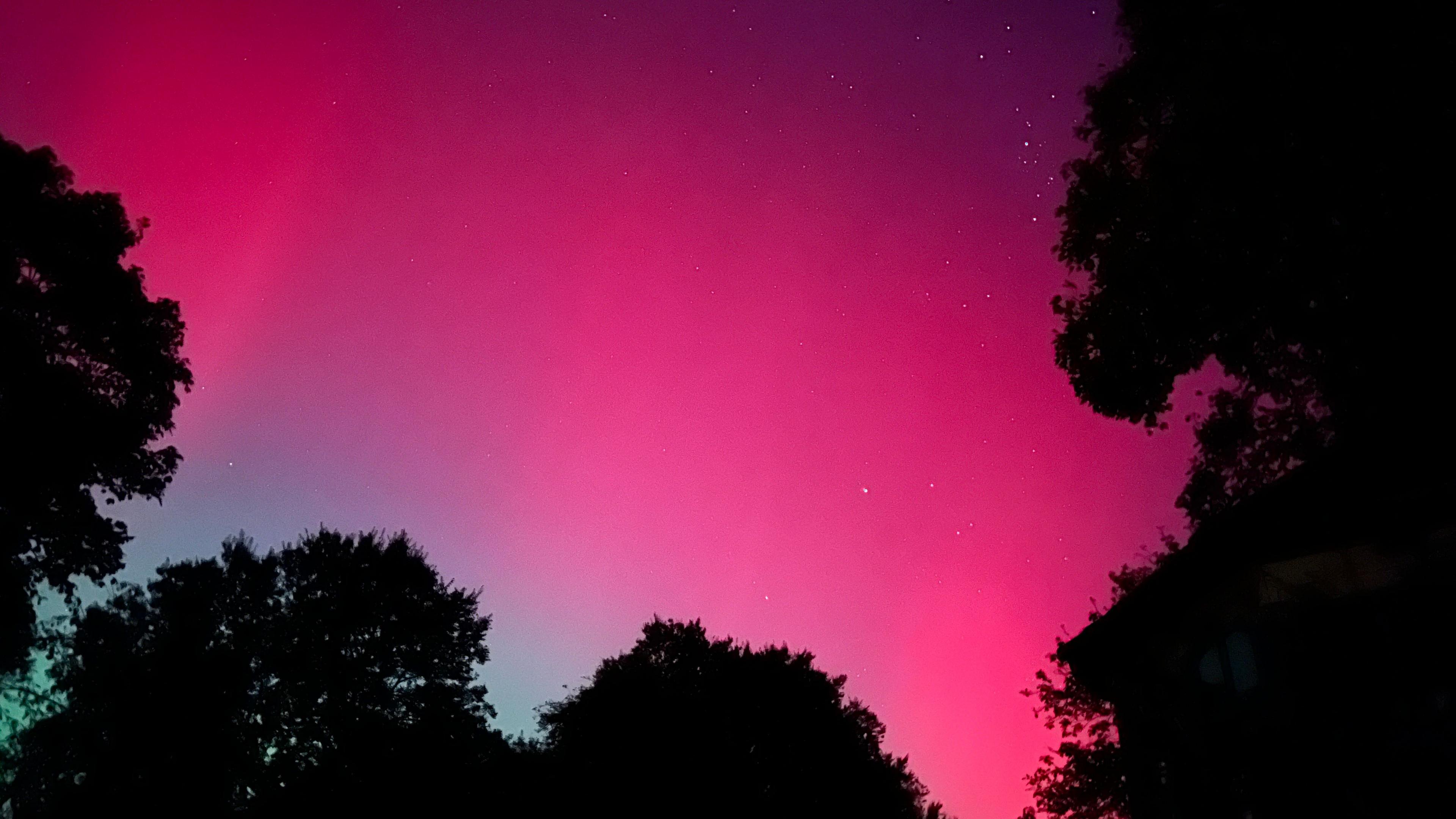 A strong pink colour fills the skies. Shadows of trees around the edges.