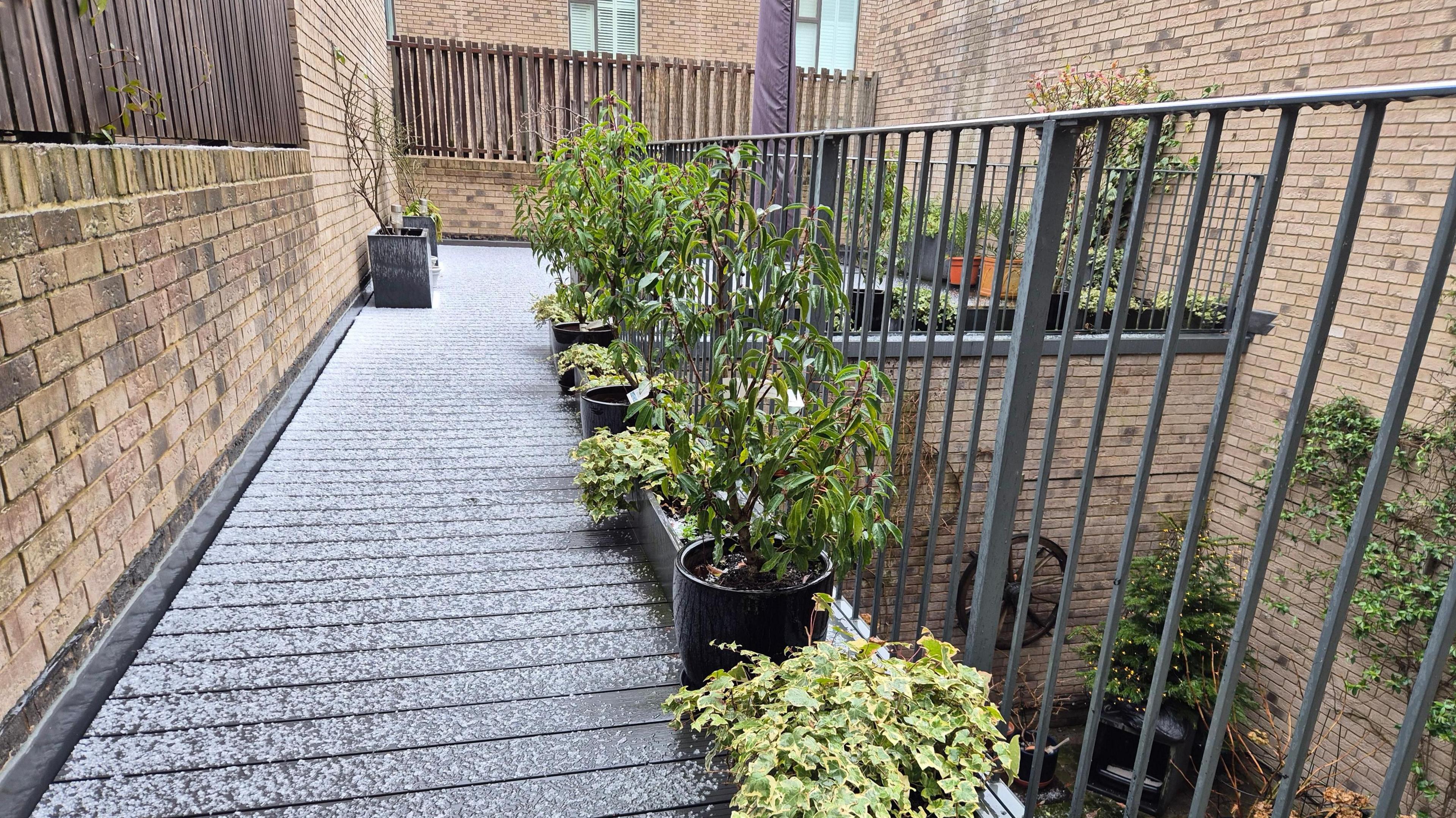 Hail covers an urban garden