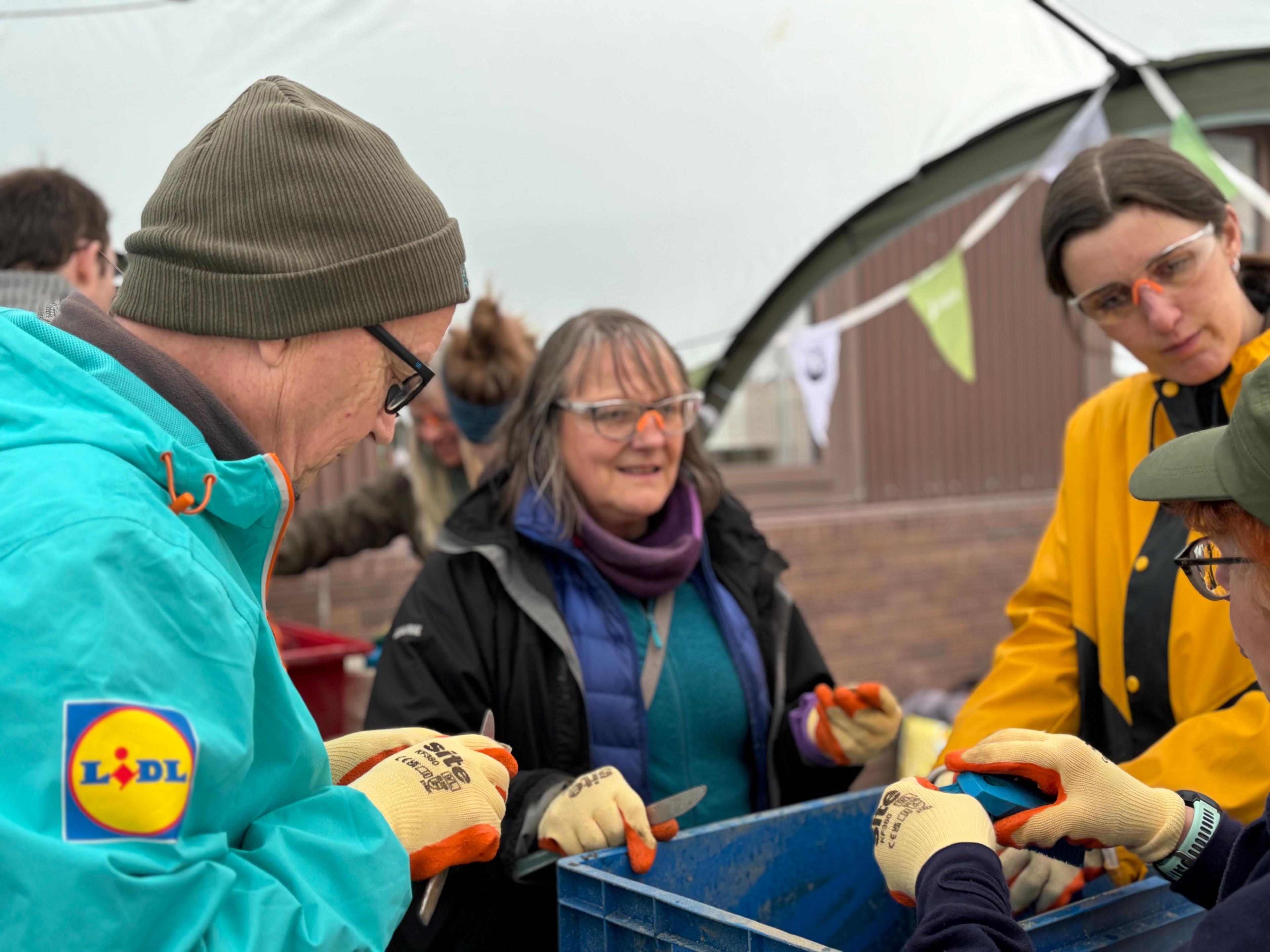 Volunteers scrubbing oysters 