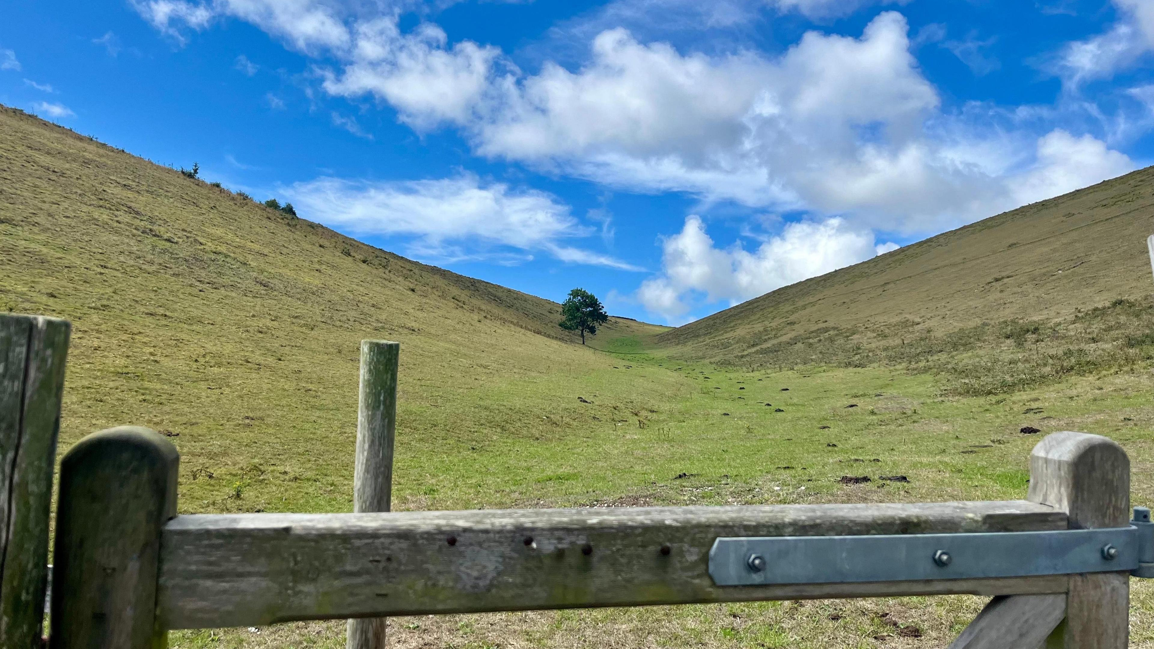 Two green hills slope down towards the centre of the image where a small green tree stands. A wooden gate with metal hinges is in the foreground looking up the valley towards the sky which is bright blue with white clouds.
