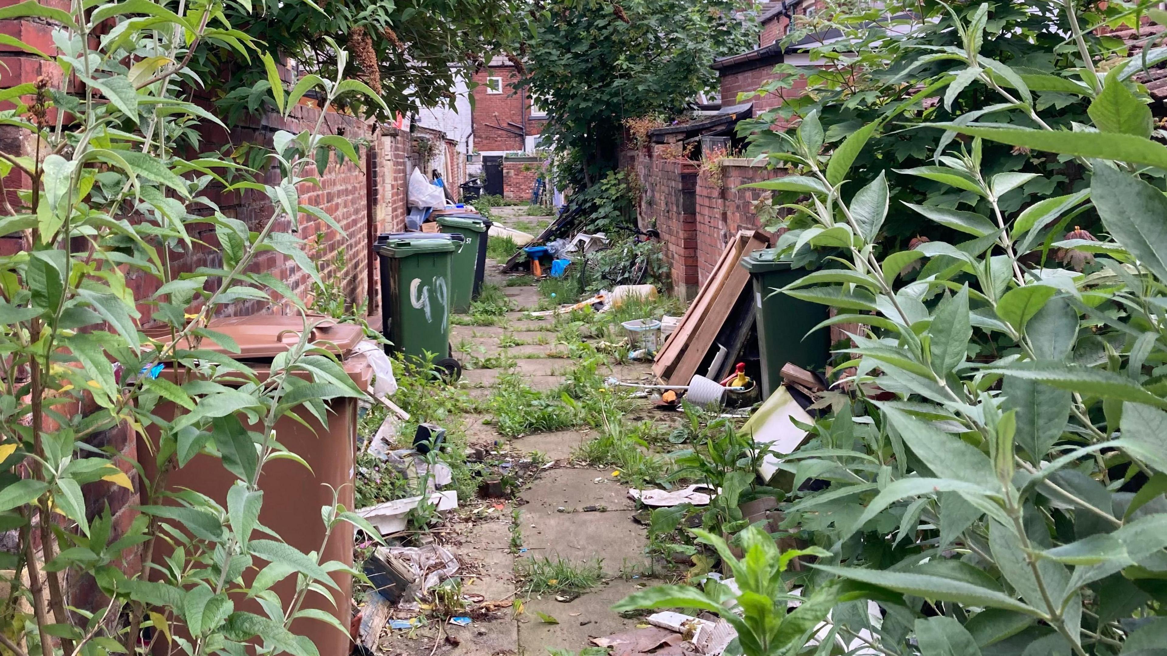 An alley littered with rubbish