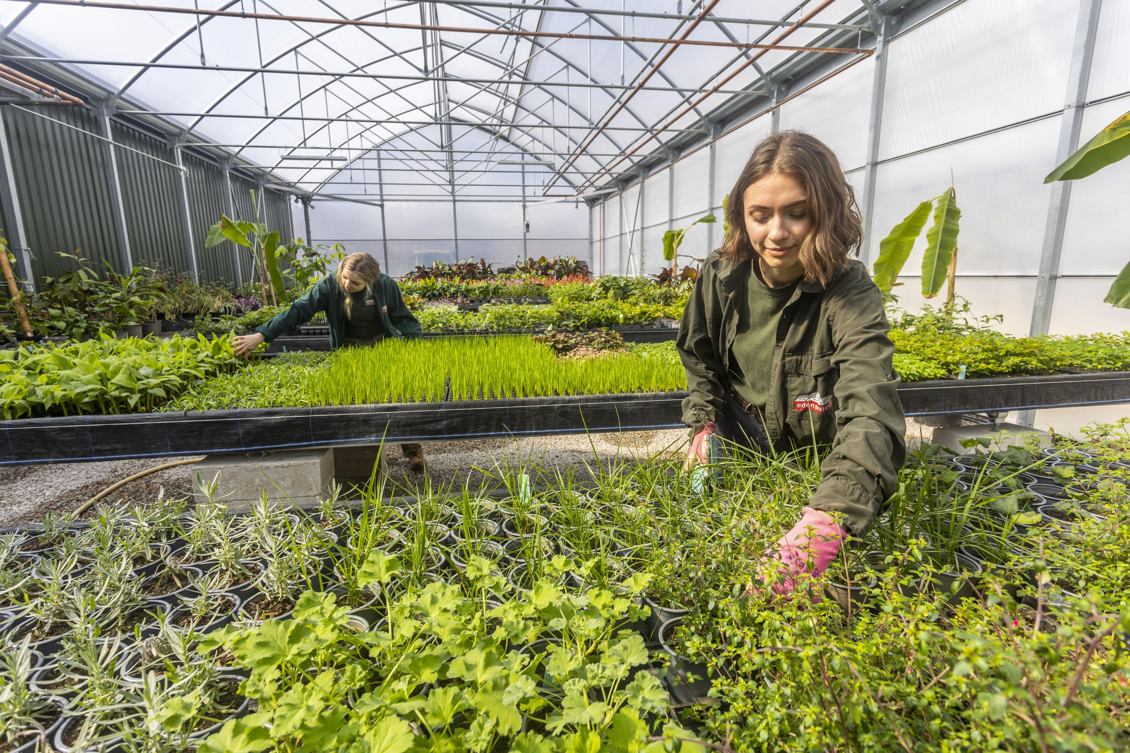 Eden Project staff at new nursery